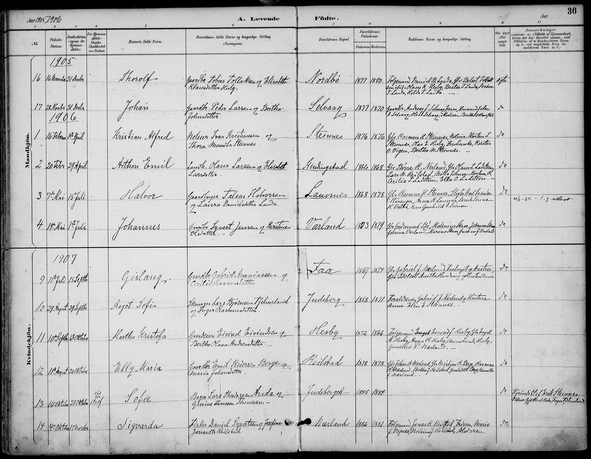 Finnøy sokneprestkontor, AV/SAST-A-101825/H/Ha/Haa/L0011: Parish register (official) no. A 11, 1891-1910, p. 36