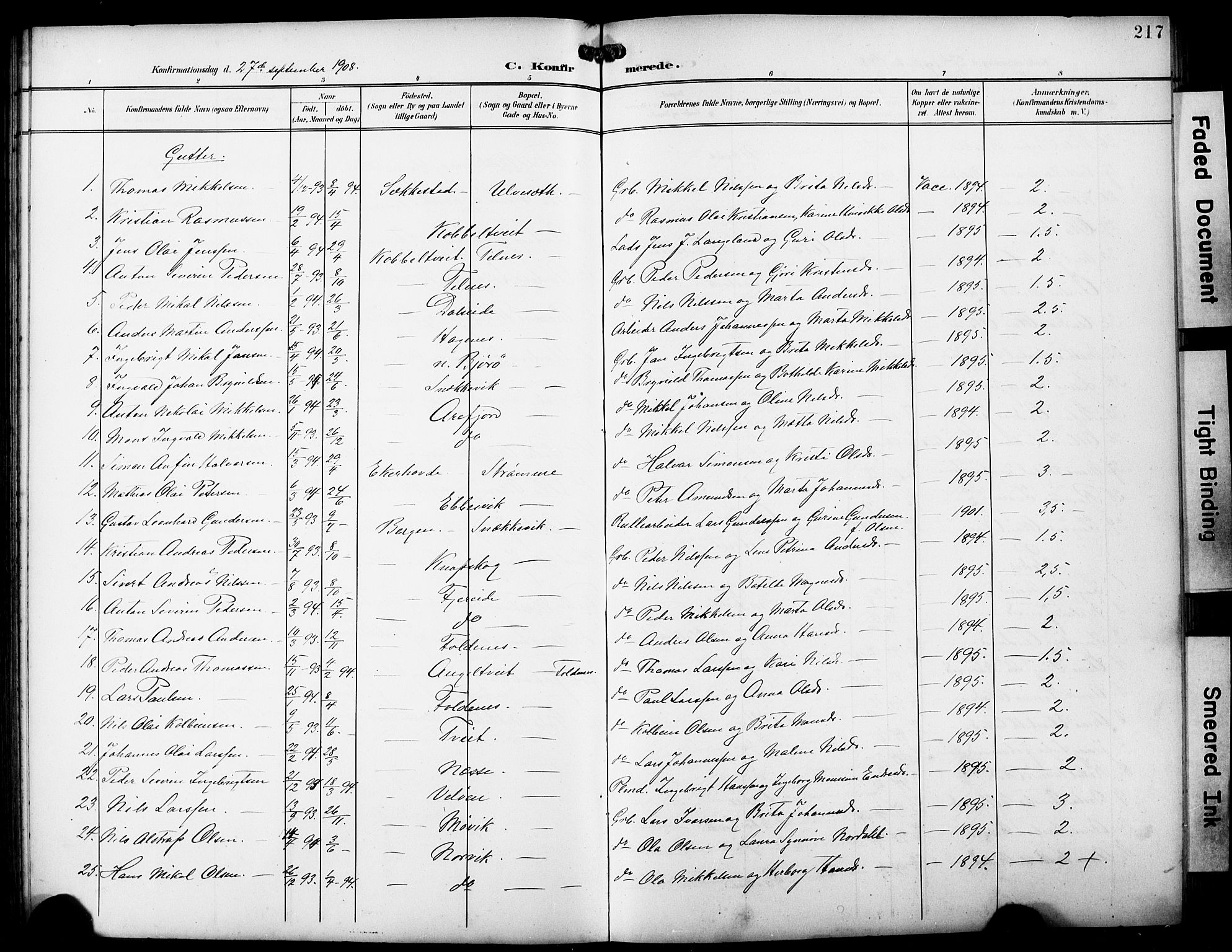 Fjell sokneprestembete, SAB/A-75301/H/Hab: Parish register (copy) no. A 5, 1899-1918, p. 217