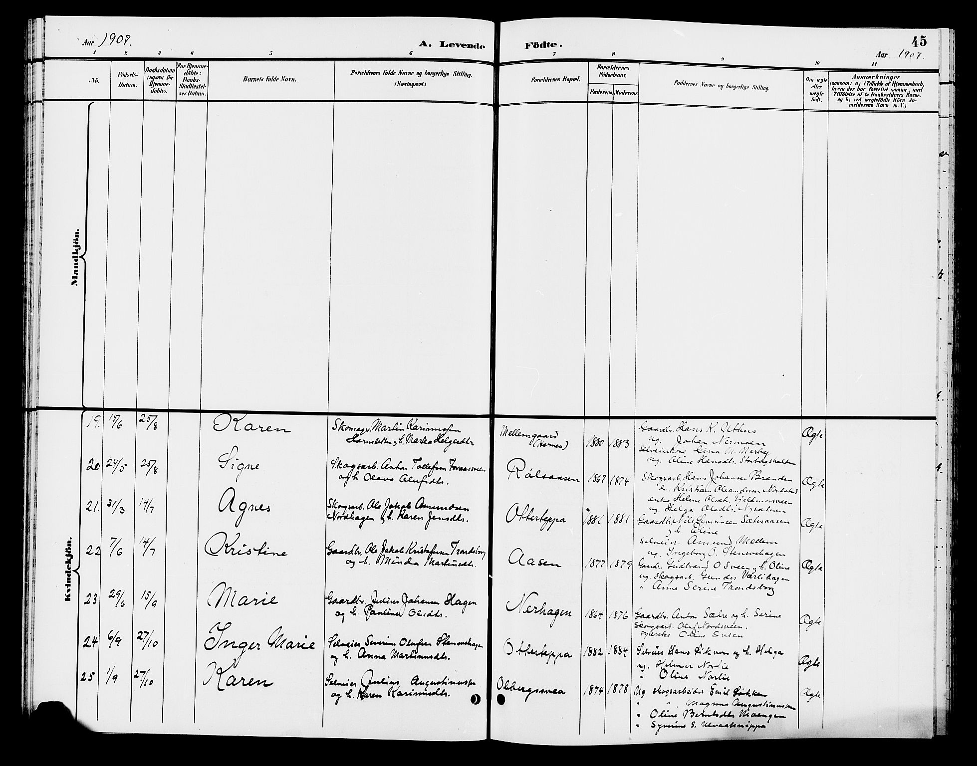 Elverum prestekontor, AV/SAH-PREST-044/H/Ha/Hab/L0006: Parish register (copy) no. 6, 1896-1907, p. 45