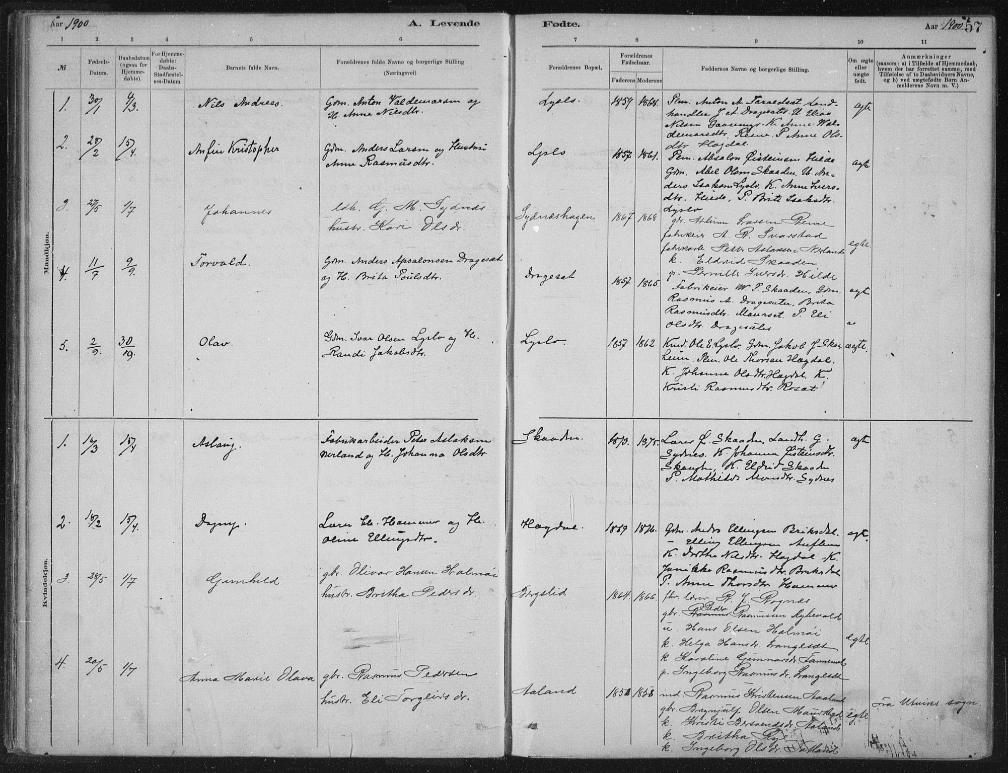 Innvik sokneprestembete, AV/SAB-A-80501: Parish register (official) no. B  1, 1879-1902, p. 57