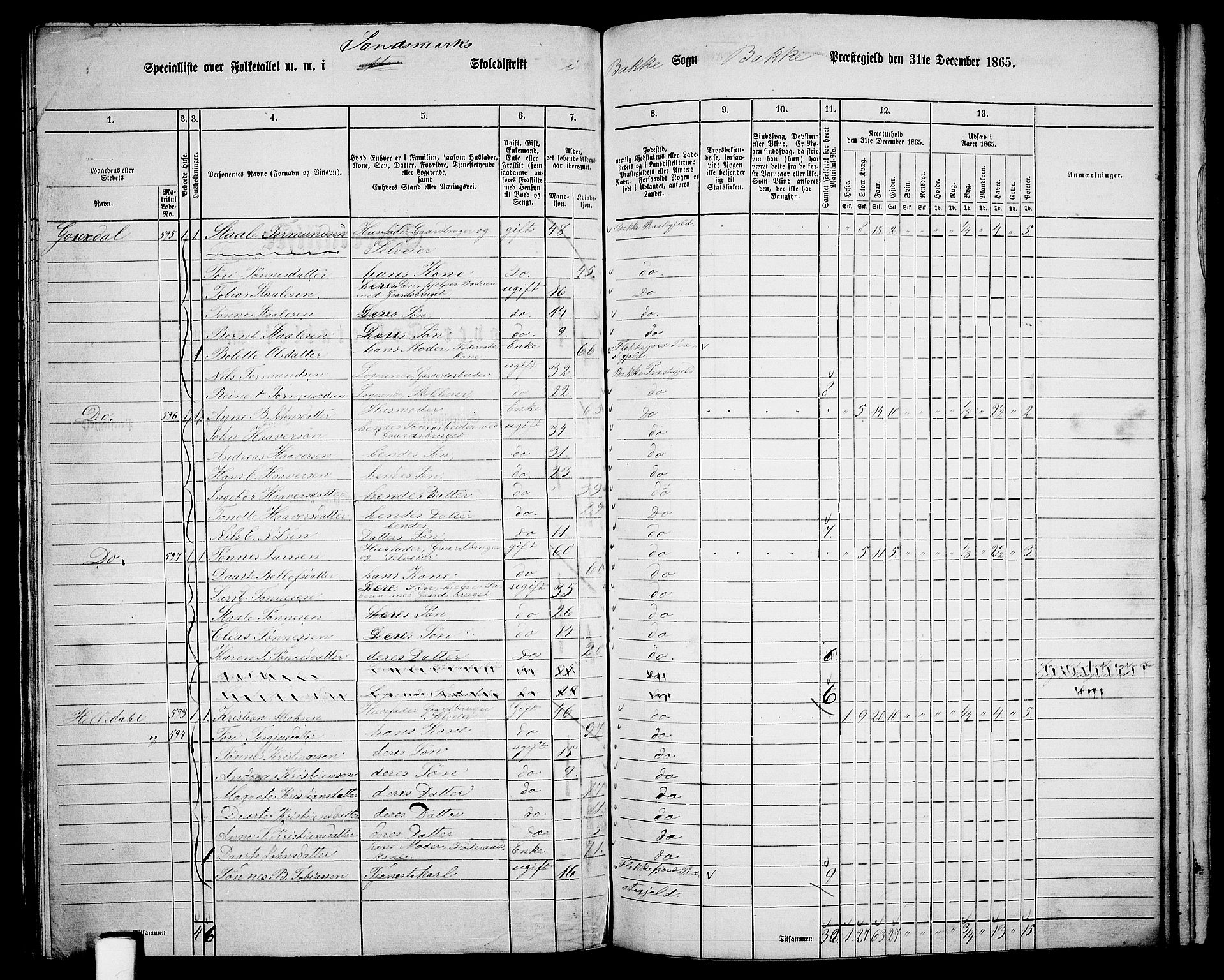 RA, 1865 census for Bakke, 1865, p. 83