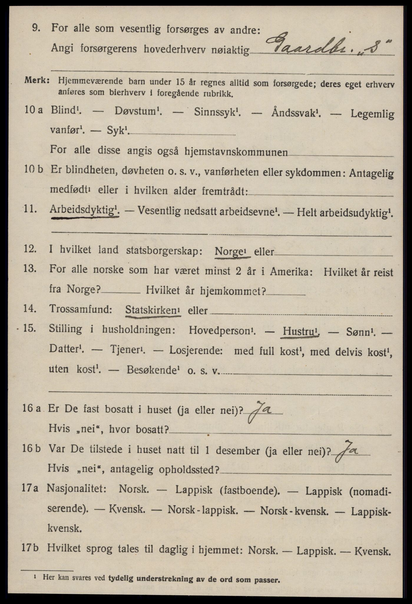 SAT, 1920 census for Soknedal, 1920, p. 1215