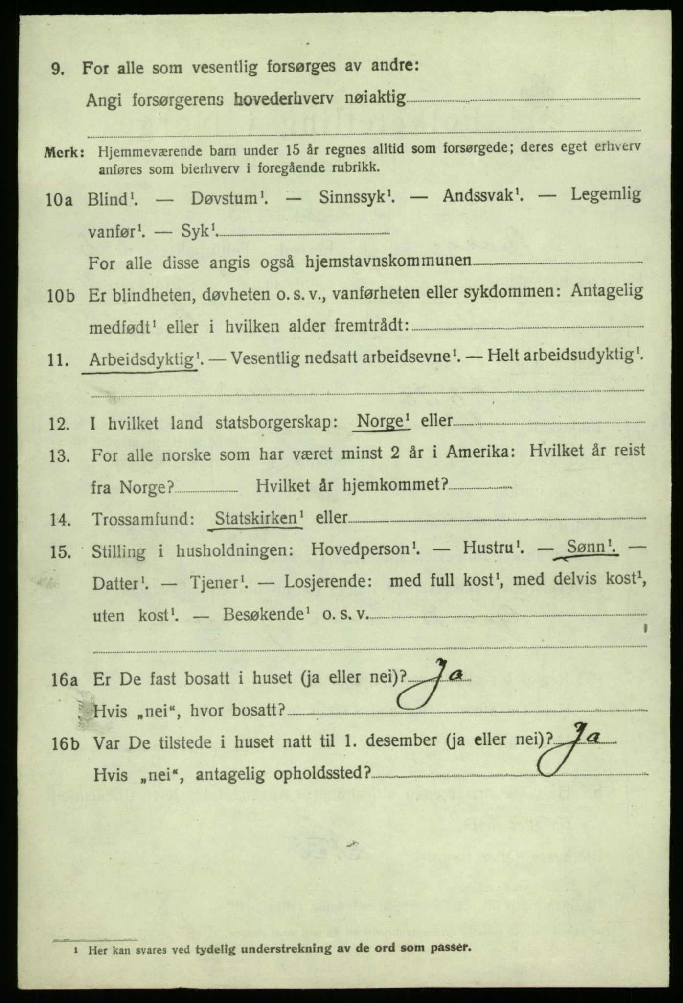 SAO, 1920 census for Borge, 1920, p. 11914