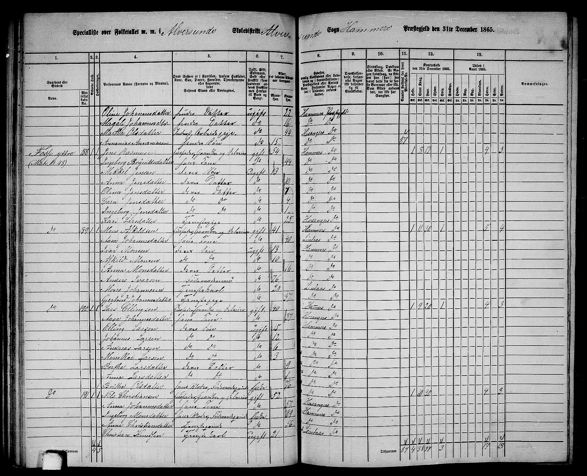 RA, 1865 census for Hamre, 1865, p. 80