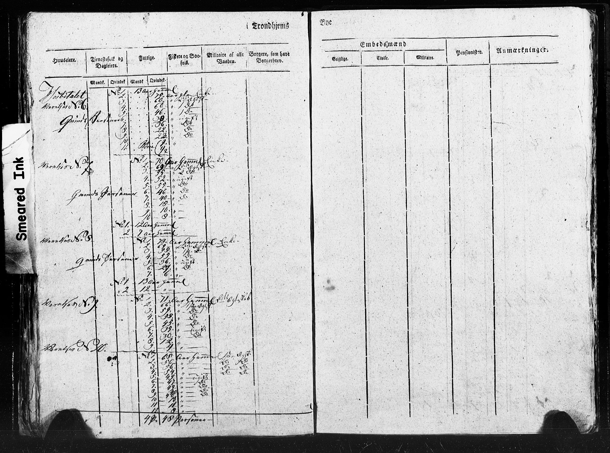 SAT, Census 1815 for Trondheim (transcript), 1815, p. 100