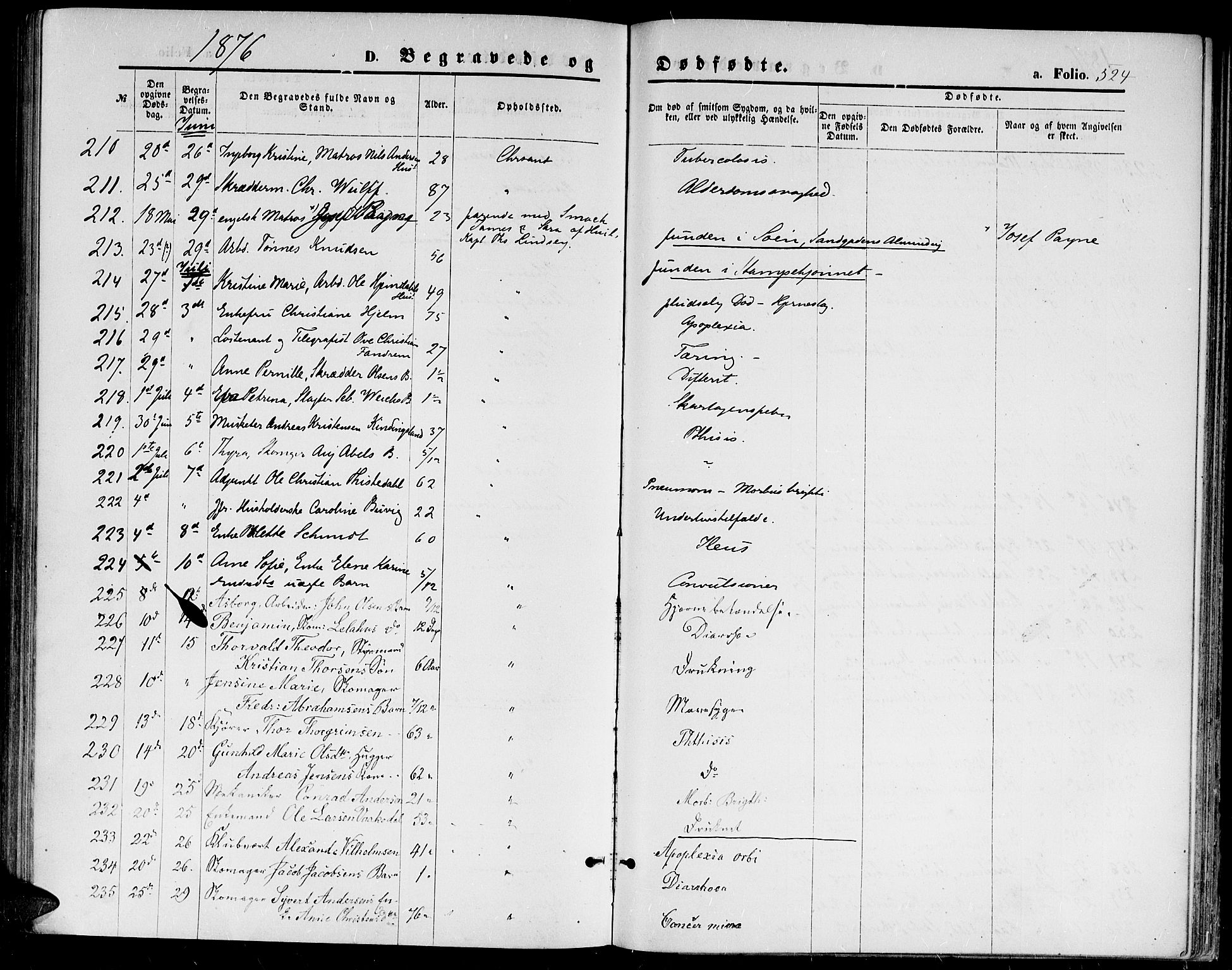 Kristiansand domprosti, SAK/1112-0006/F/Fb/L0013: Parish register (copy) no. B 13, 1871-1880, p. 524