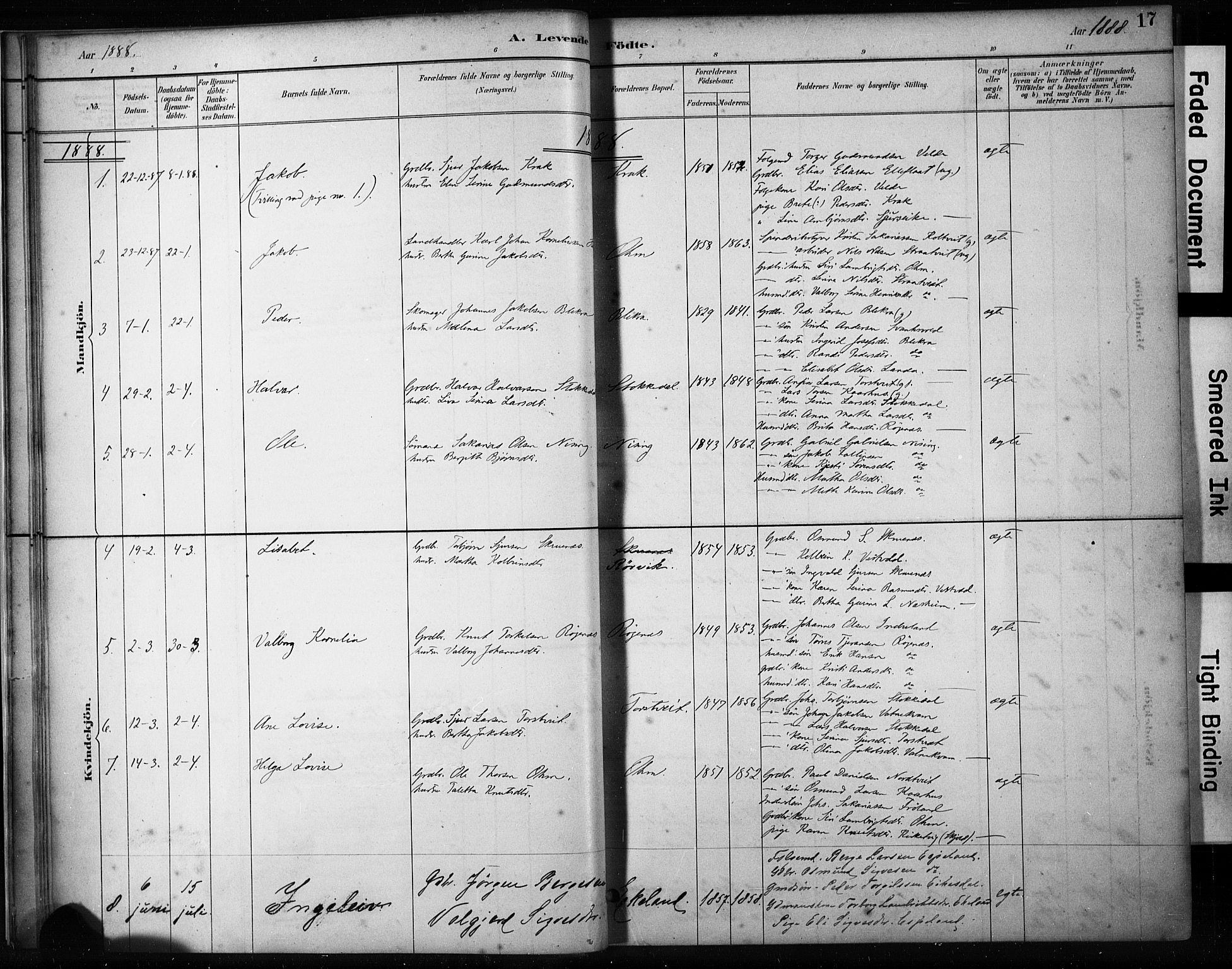 Skjold sokneprestkontor, AV/SAST-A-101847/H/Ha/Haa/L0009: Parish register (official) no. A 9, 1882-1898, p. 17