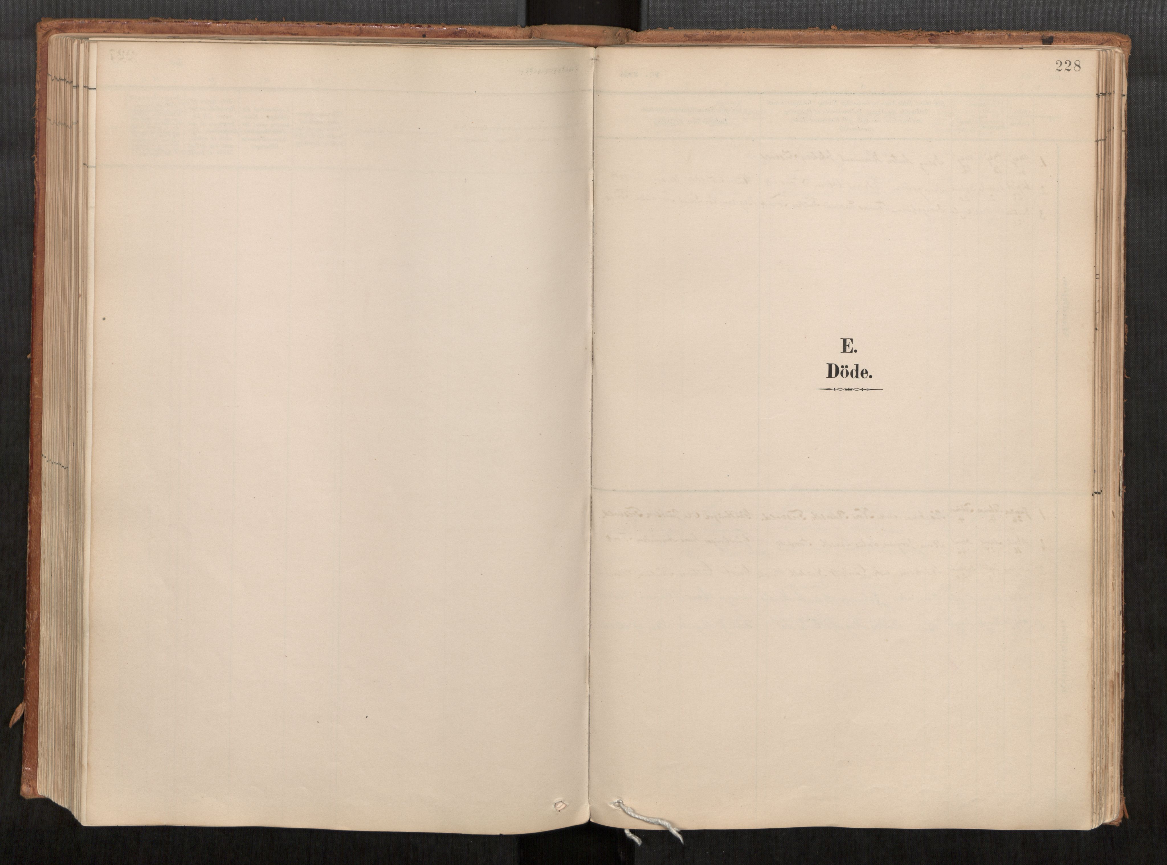 Ministerialprotokoller, klokkerbøker og fødselsregistre - Møre og Romsdal, SAT/A-1454/542/L0553: Parish register (official) no. 542A03, 1885-1925, p. 228