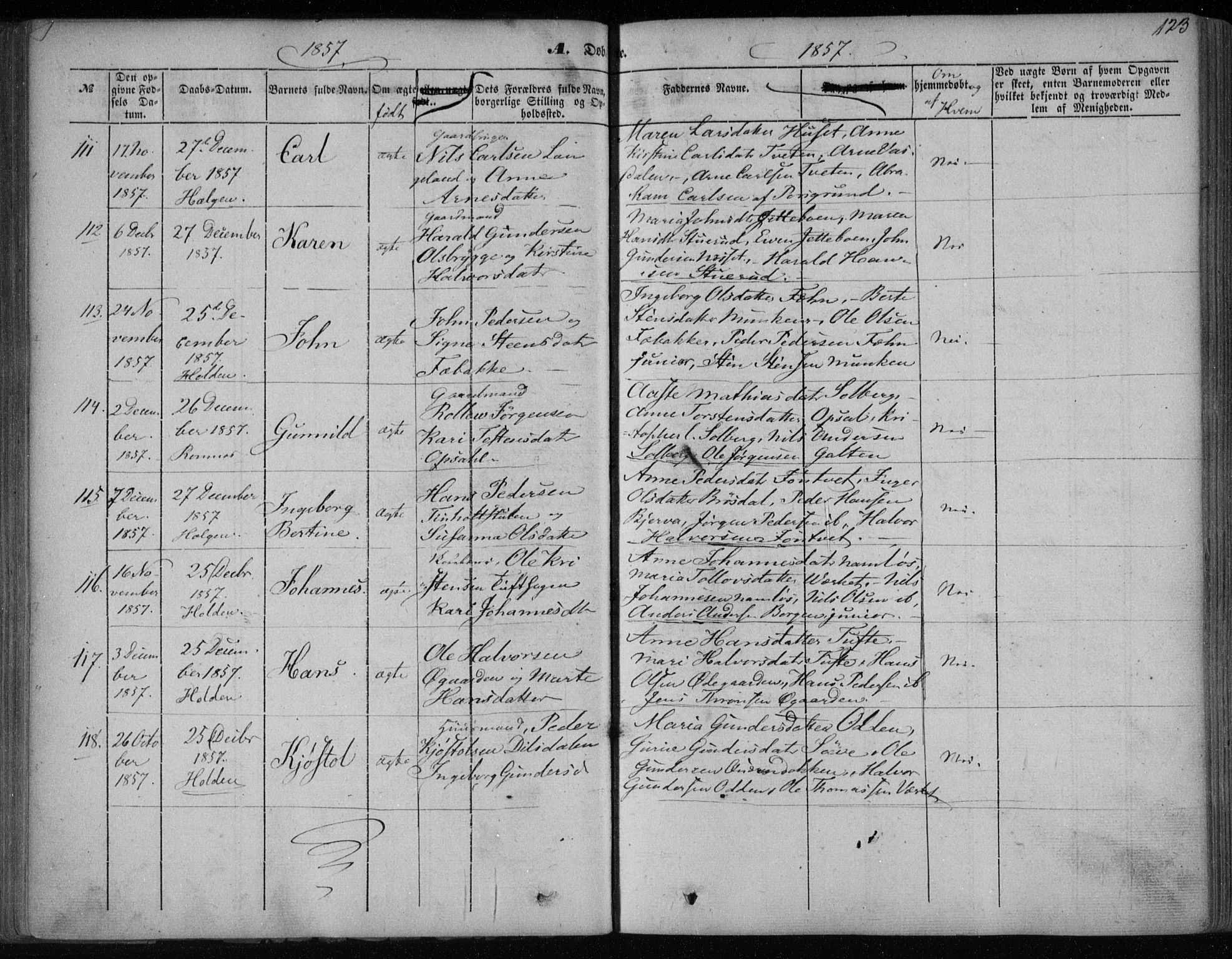 Holla kirkebøker, SAKO/A-272/F/Fa/L0005: Parish register (official) no. 5, 1849-1860, p. 123