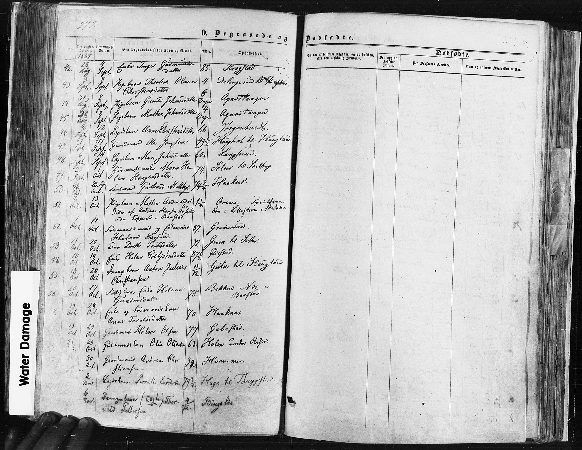 Trøgstad prestekontor Kirkebøker, SAO/A-10925/F/Fa/L0009: Parish register (official) no. I 9, 1865-1877, p. 272