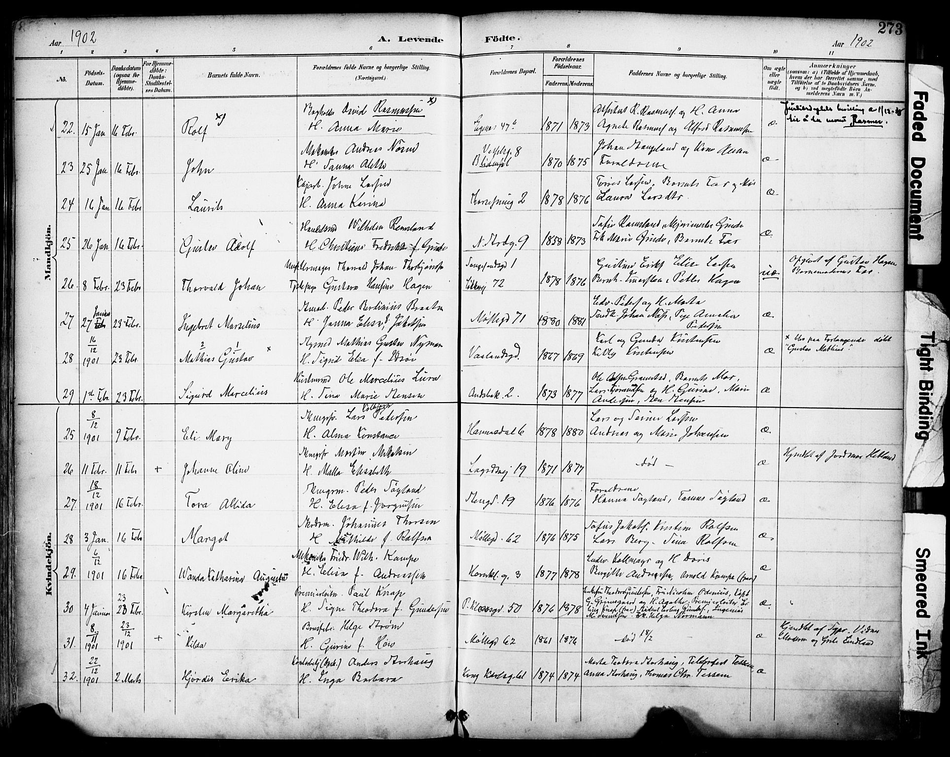 Domkirken sokneprestkontor, AV/SAST-A-101812/001/30/30BA/L0030: Parish register (official) no. A 29, 1889-1902, p. 273