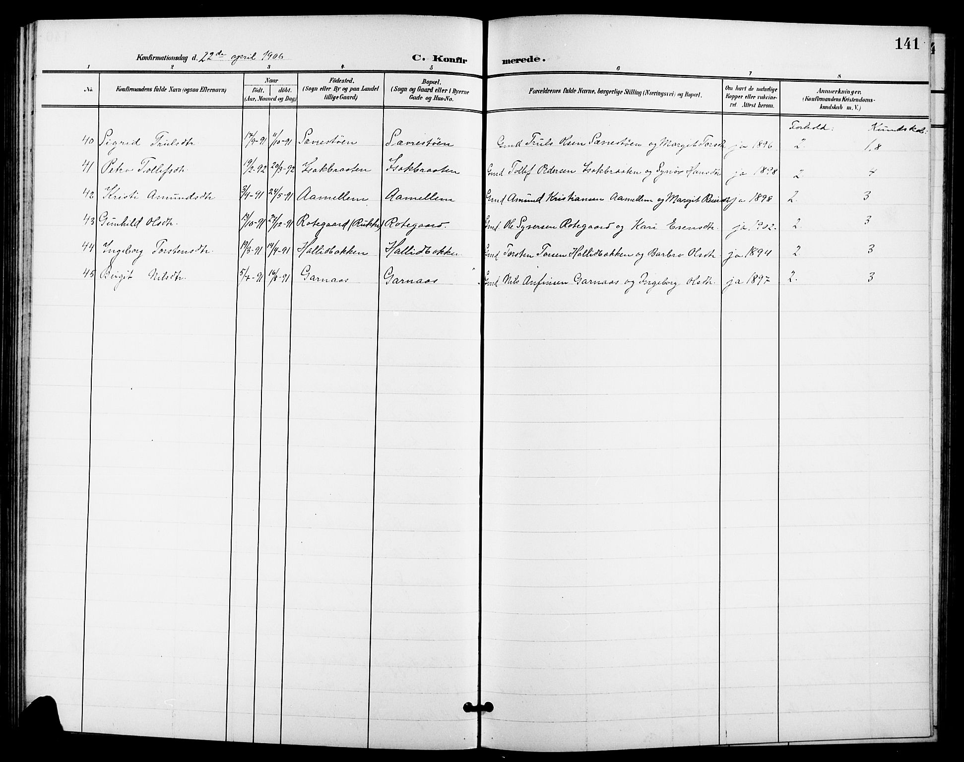 Nes kirkebøker, SAKO/A-236/G/Ga/L0004: Parish register (copy) no. I 4, 1900-1925, p. 141