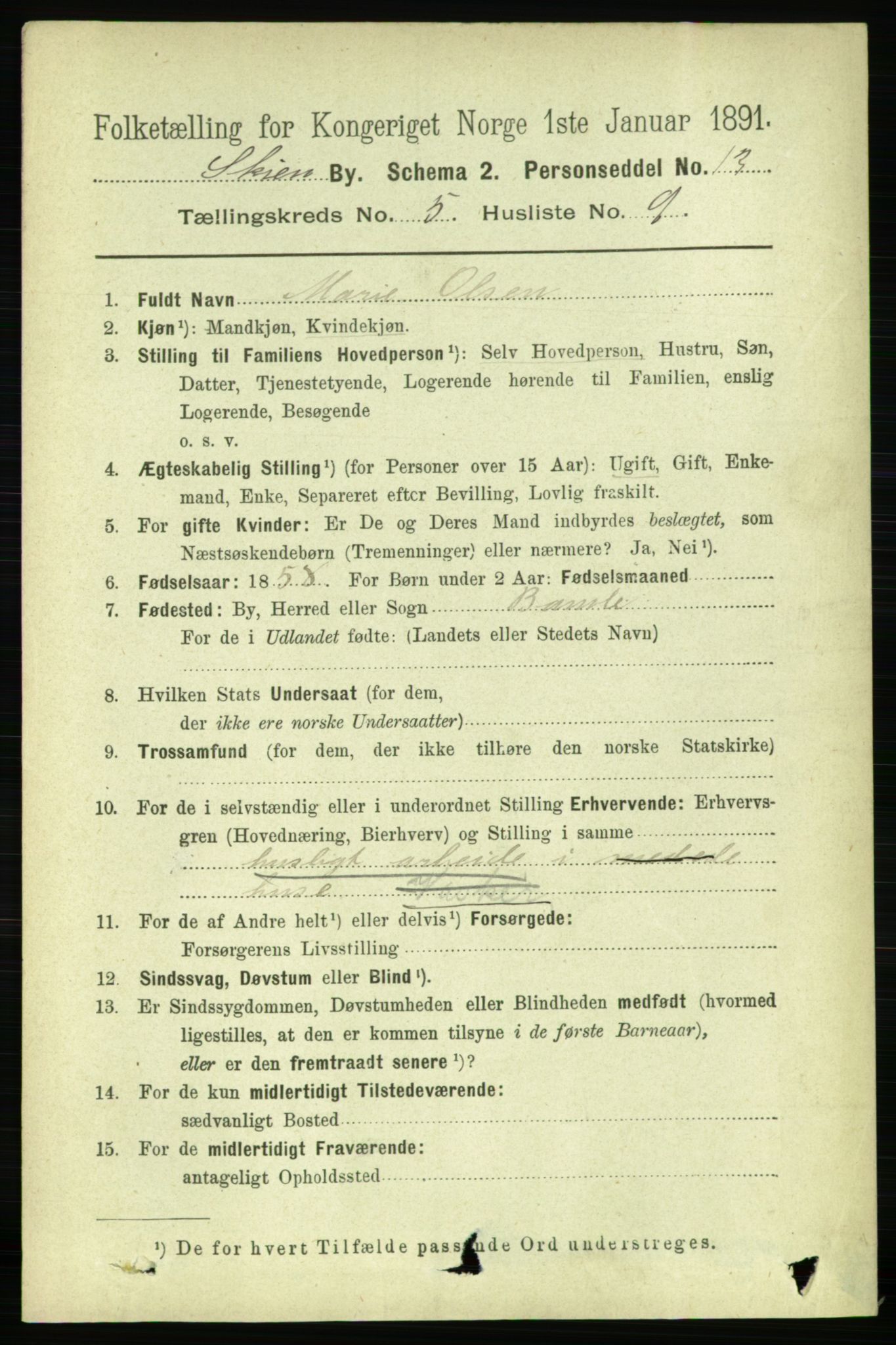 RA, 1891 census for 0806 Skien, 1891, p. 2991