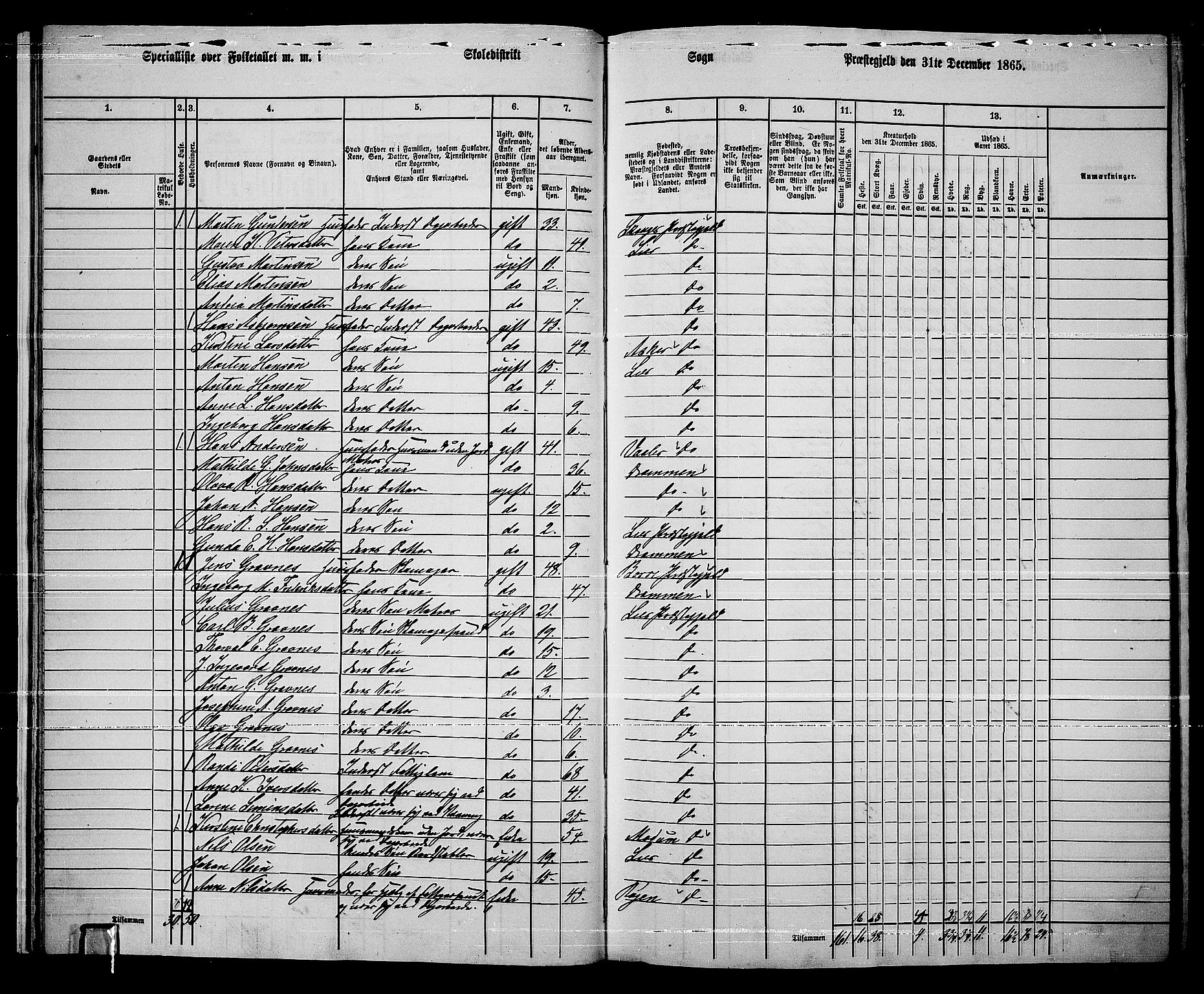 RA, 1865 census for Lier, 1865, p. 22