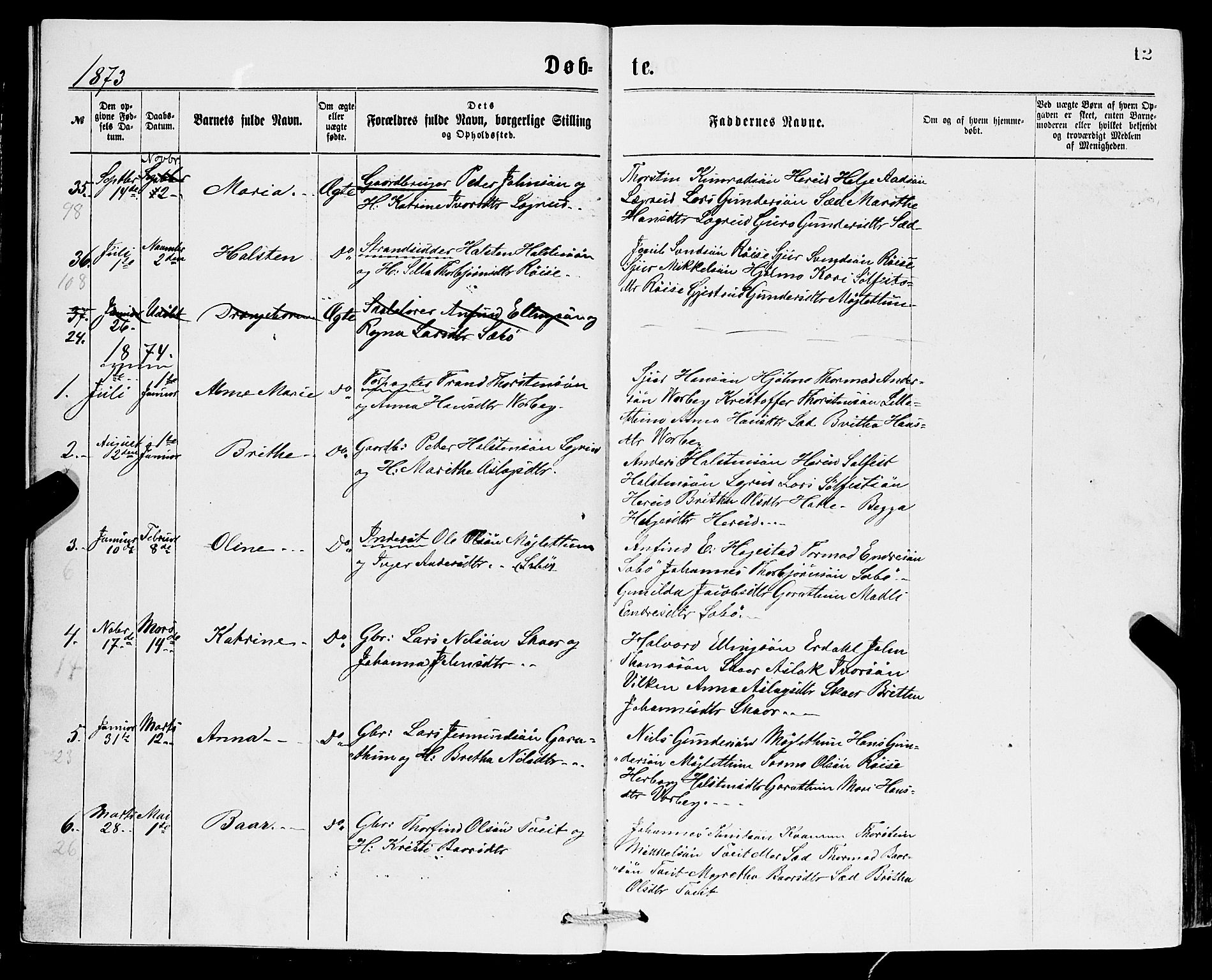 Ullensvang sokneprestembete, SAB/A-78701/H/Hab: Parish register (copy) no. C 2, 1871-1899, p. 12