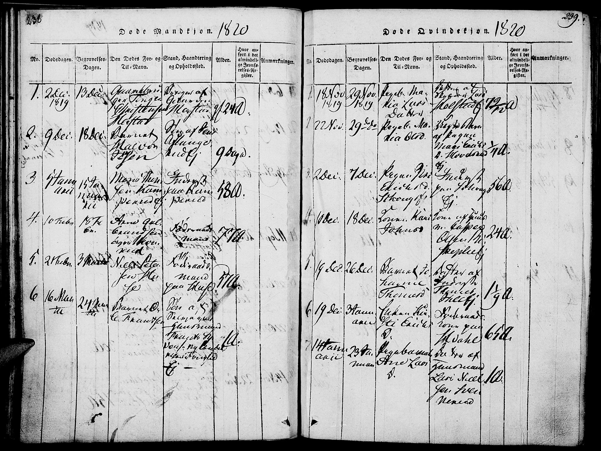 Nes prestekontor, Hedmark, SAH/PREST-020/K/Ka/L0002: Parish register (official) no. 2, 1813-1827, p. 238-239