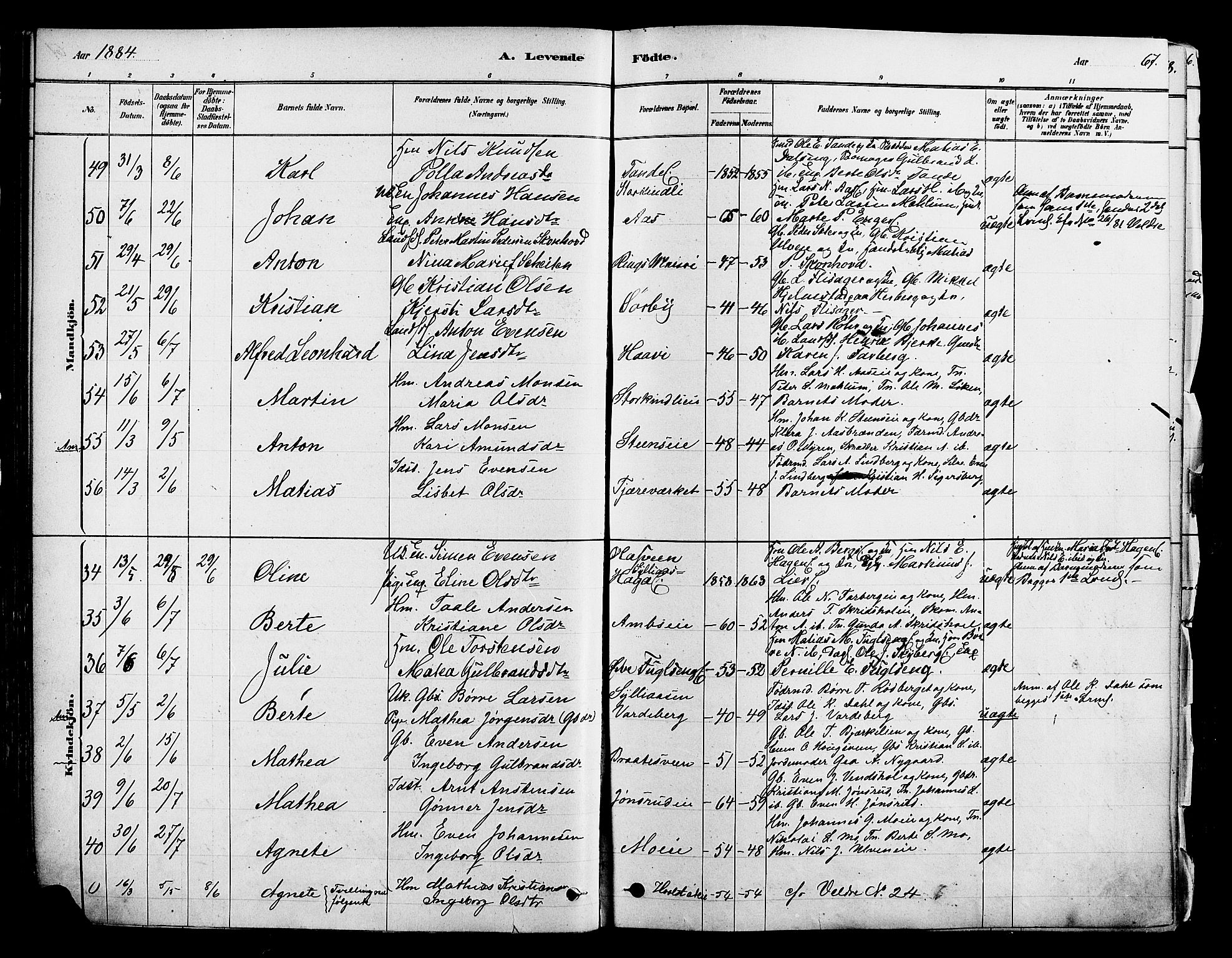 Ringsaker prestekontor, AV/SAH-PREST-014/K/Ka/L0012: Parish register (official) no. 12, 1879-1890, p. 67