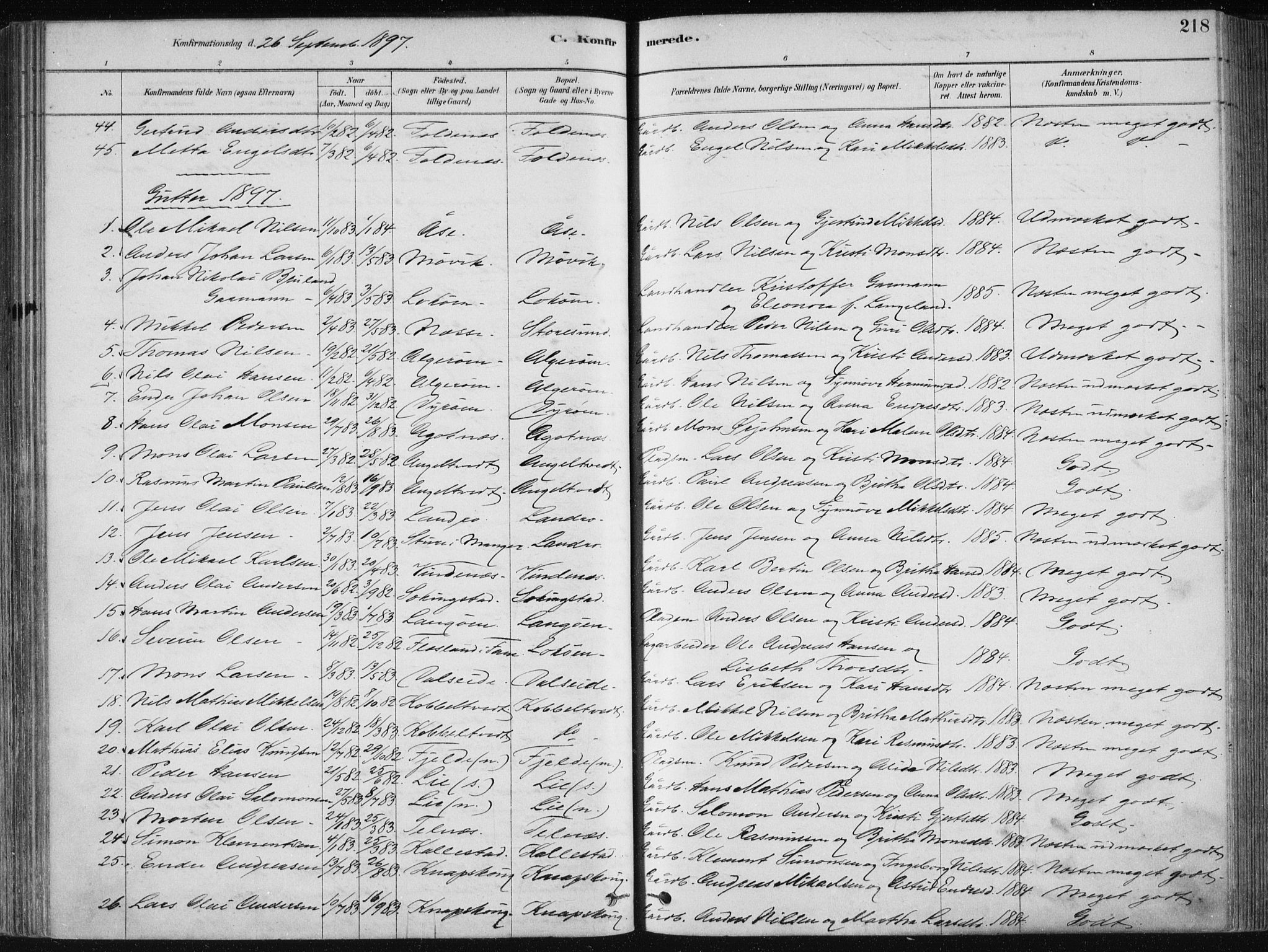Fjell sokneprestembete, SAB/A-75301/H/Haa: Parish register (official) no. A  8, 1878-1898, p. 218