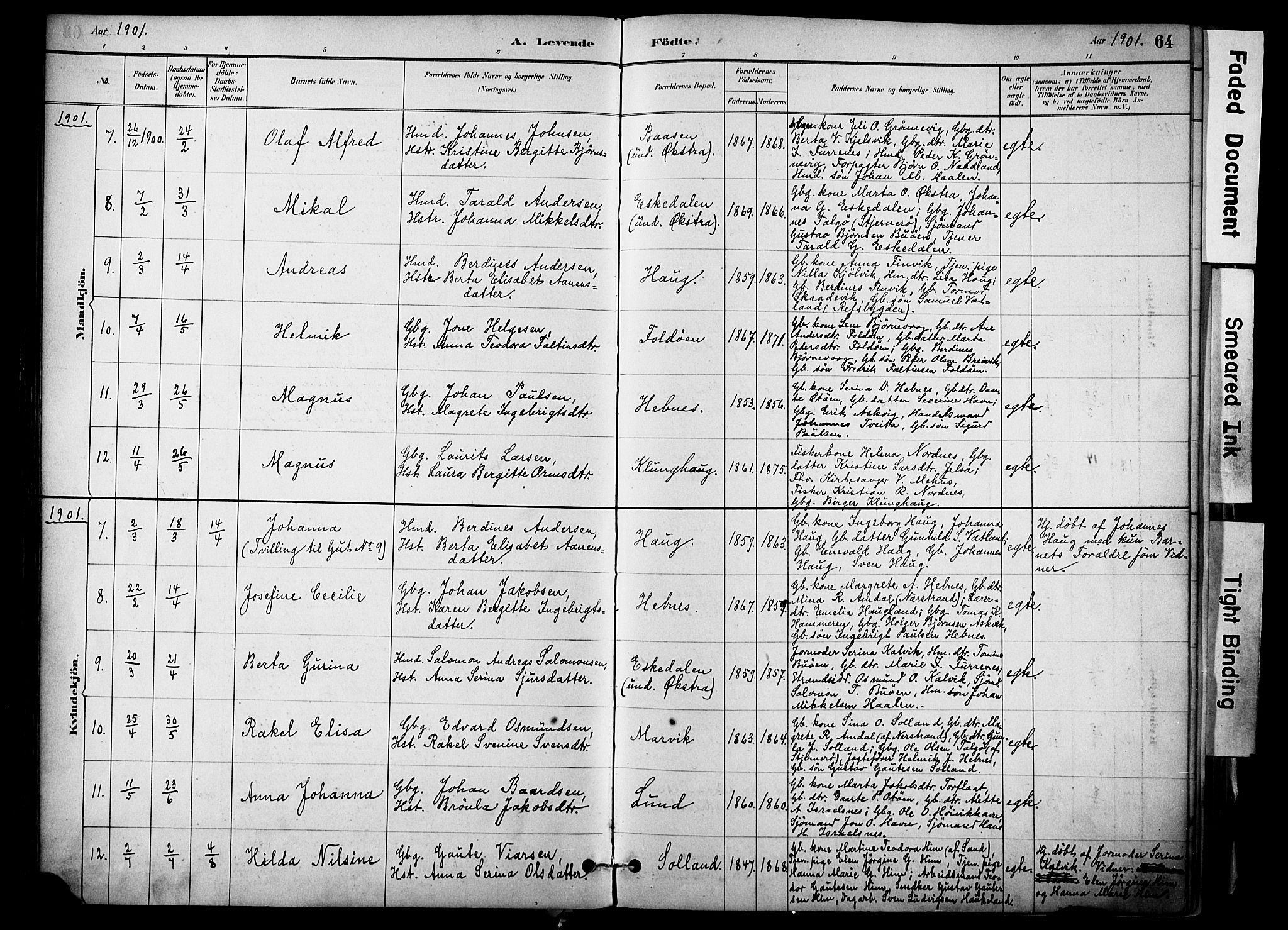 Jelsa sokneprestkontor, AV/SAST-A-101842/01/IV: Parish register (official) no. A 10, 1884-1906, p. 64