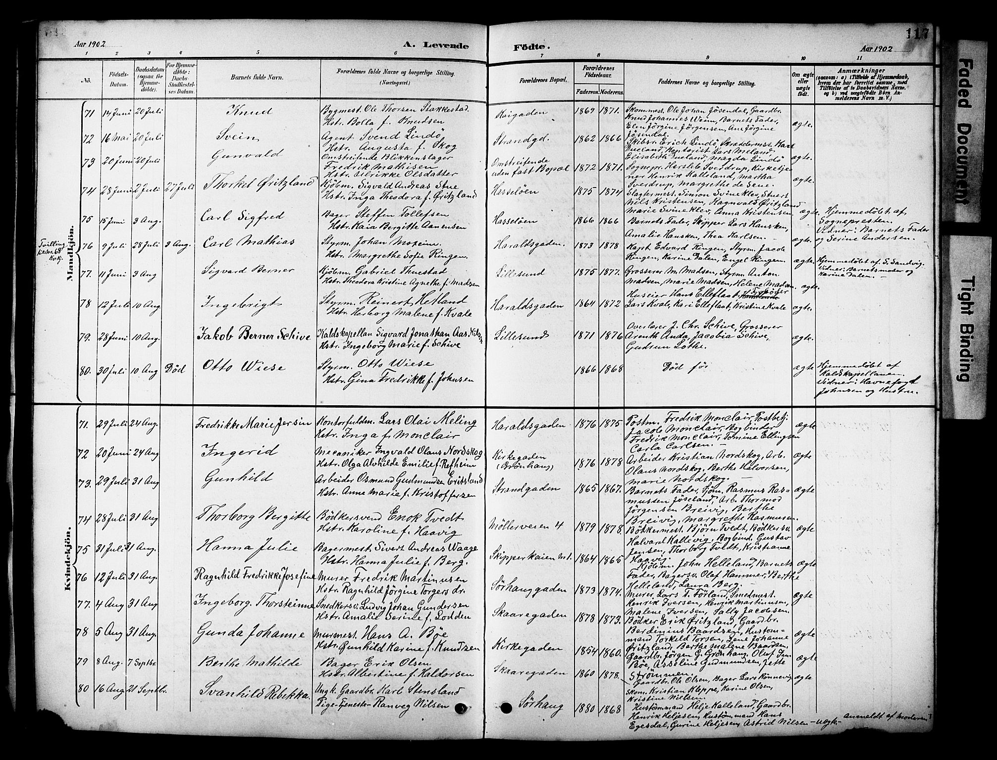 Haugesund sokneprestkontor, SAST/A -101863/H/Ha/Hab/L0005: Parish register (copy) no. B 5, 1894-1908, p. 117