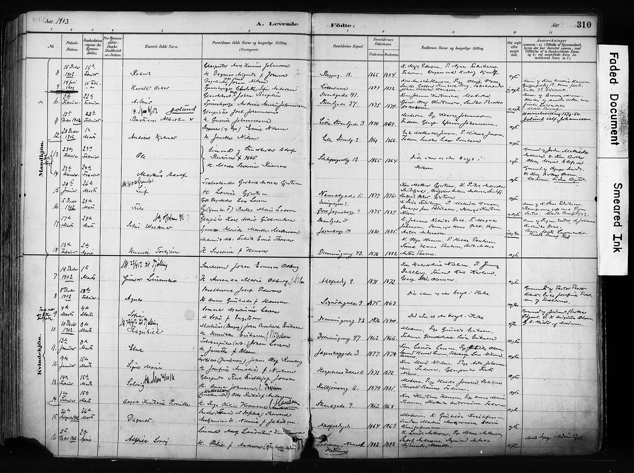 Larvik kirkebøker, AV/SAKO-A-352/F/Fa/L0009: Parish register (official) no. I 9, 1884-1904, p. 310