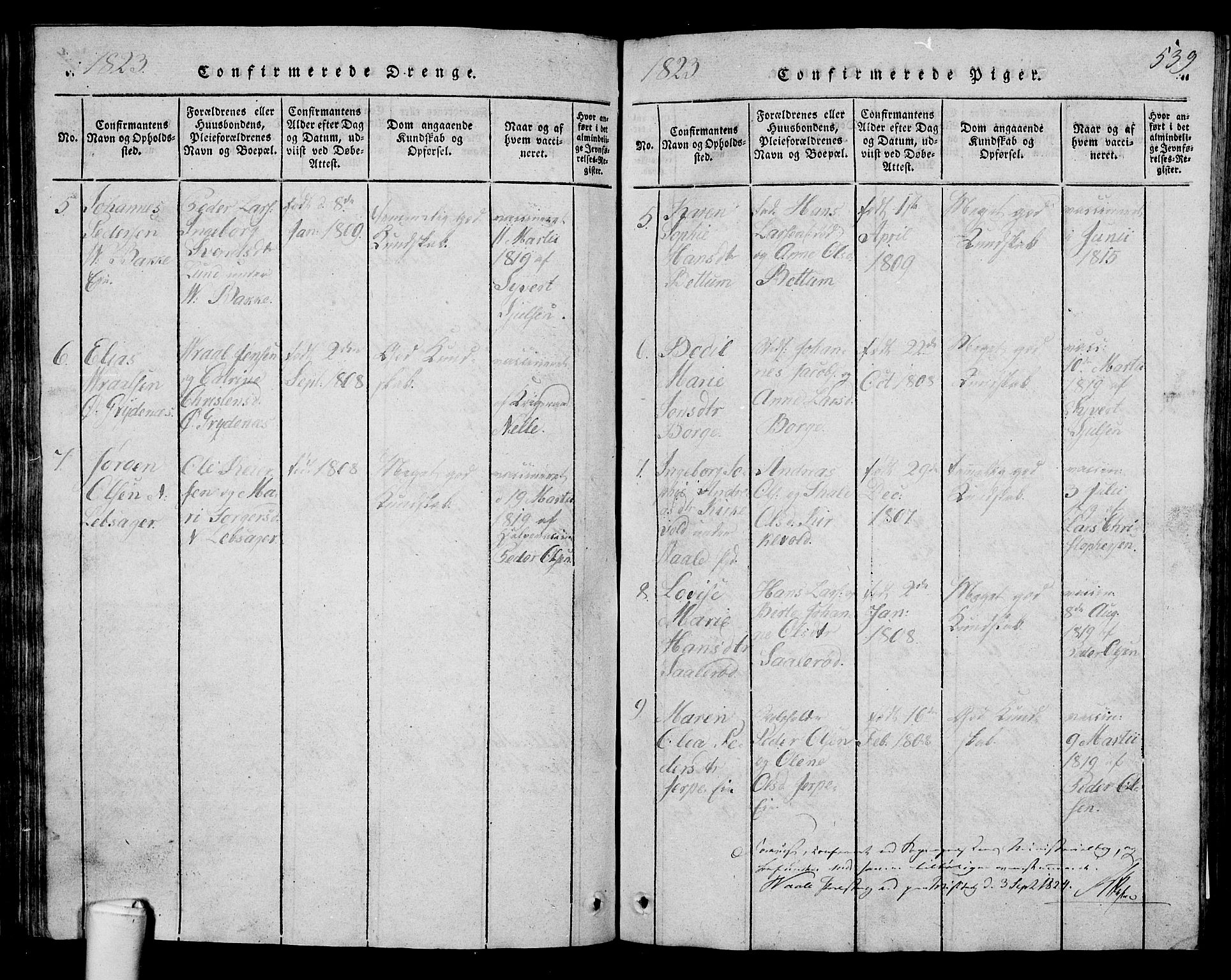 Våle kirkebøker, AV/SAKO-A-334/G/Ga/L0001: Parish register (copy) no. I 1, 1814-1824, p. 538-539