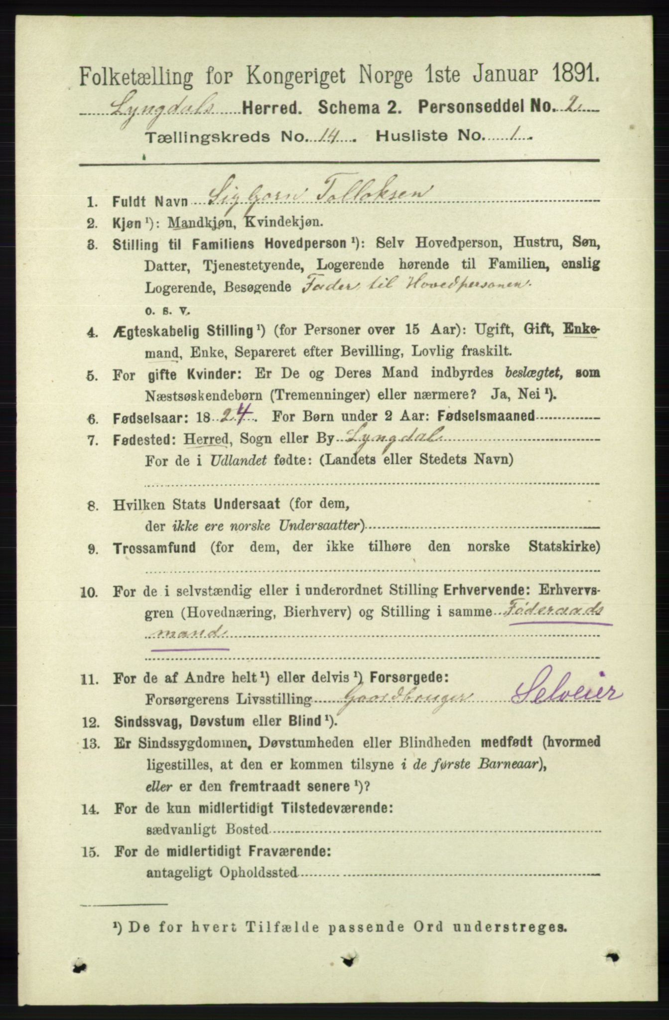 RA, 1891 census for 1032 Lyngdal, 1891, p. 5847