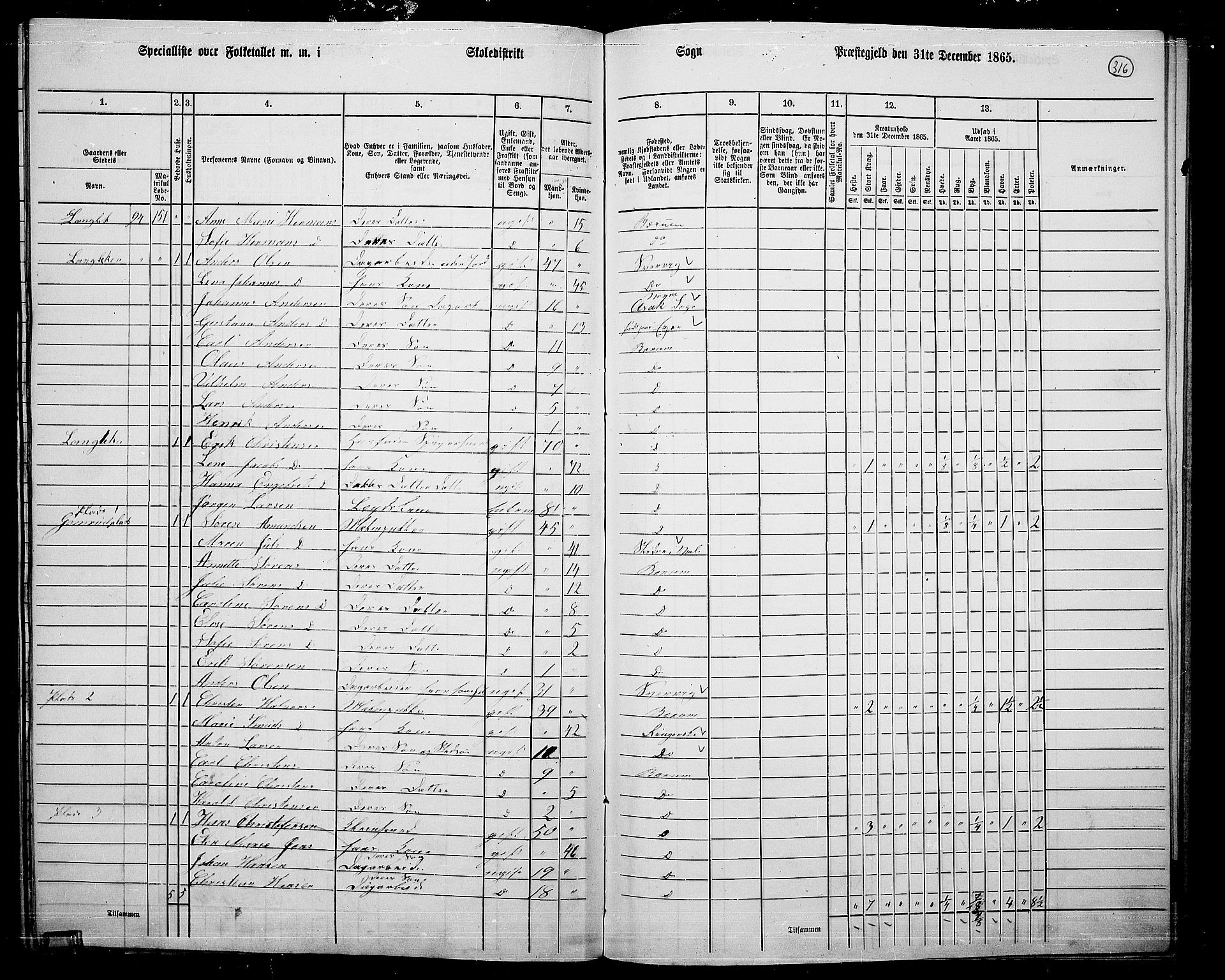 RA, 1865 census for Asker, 1865, p. 305