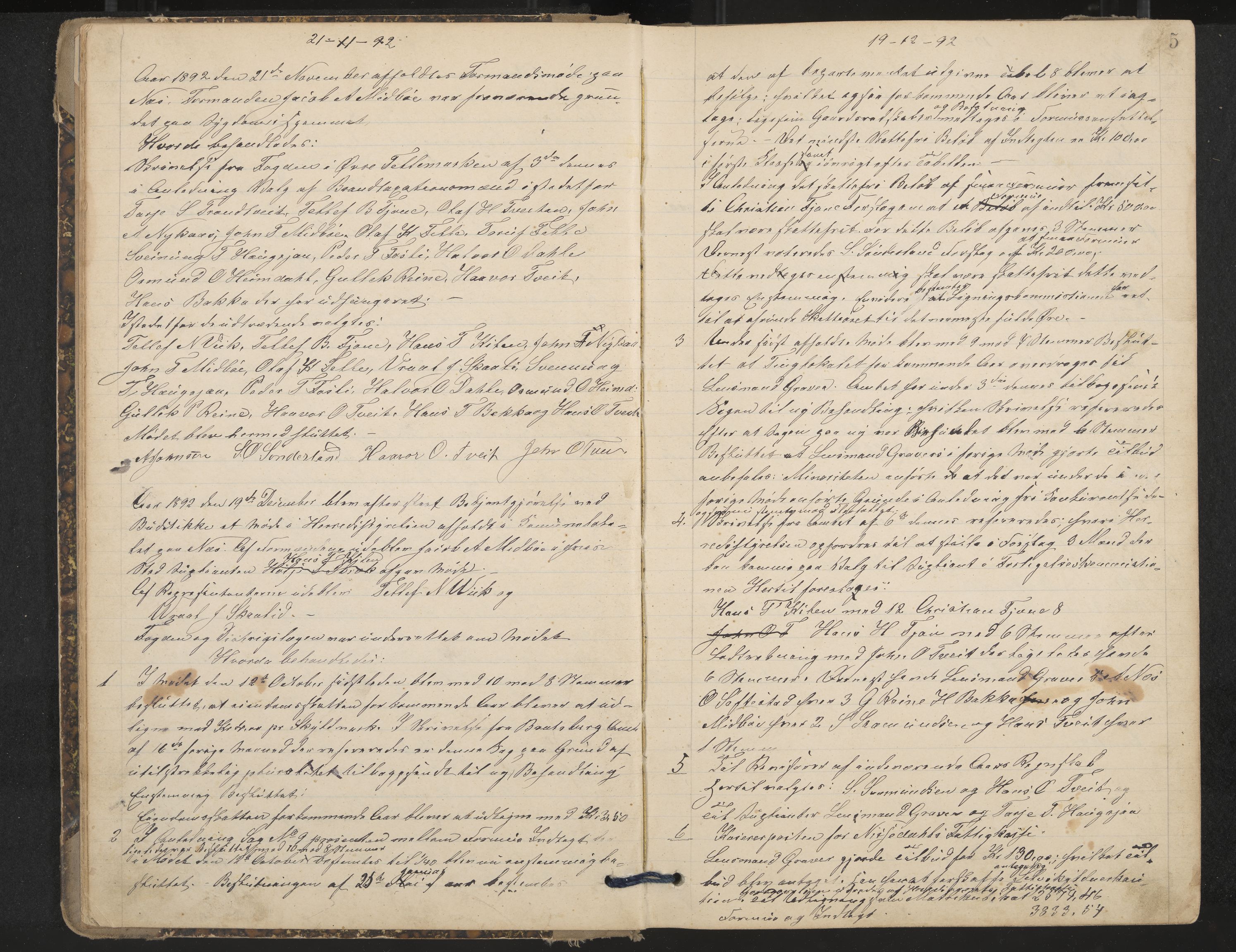 Nissedal formannskap og sentraladministrasjon, IKAK/0830021-1/A/L0003: Møtebok, 1892-1904, p. 5