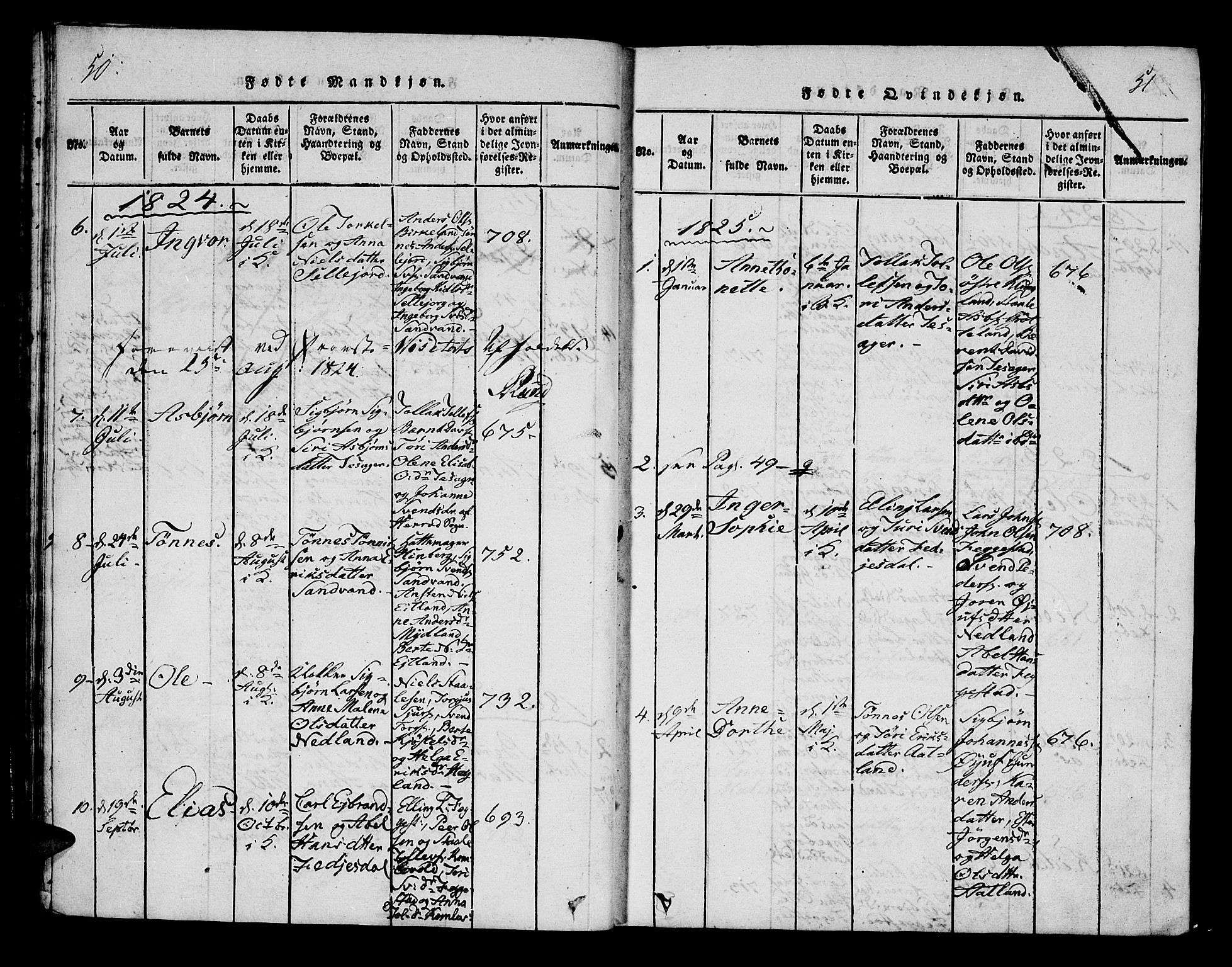 Bakke sokneprestkontor, AV/SAK-1111-0002/F/Fa/Fab/L0001: Parish register (official) no. A 1, 1815-1835, p. 50-51