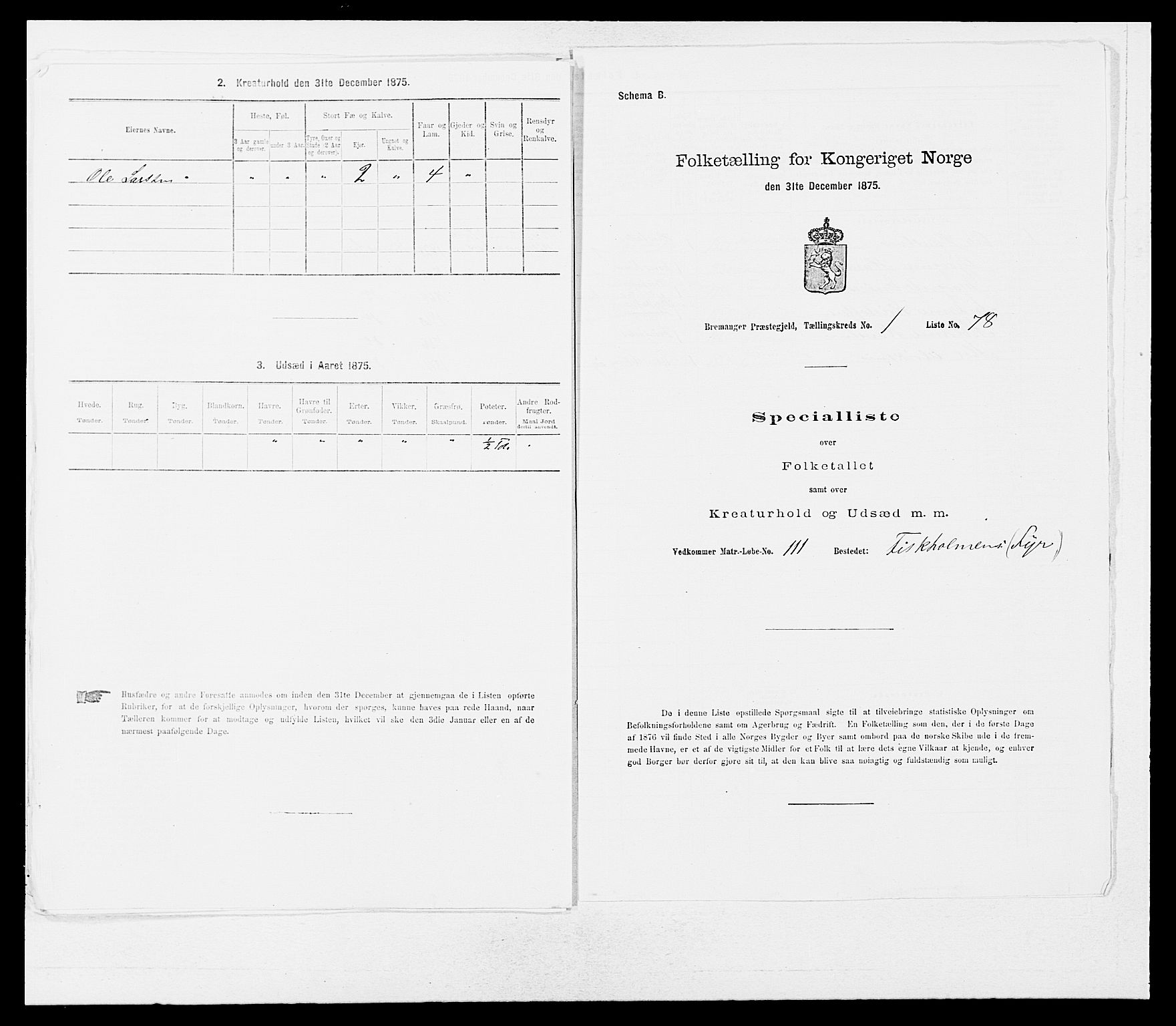 SAB, 1875 Census for 1438P Bremanger, 1875, p. 171