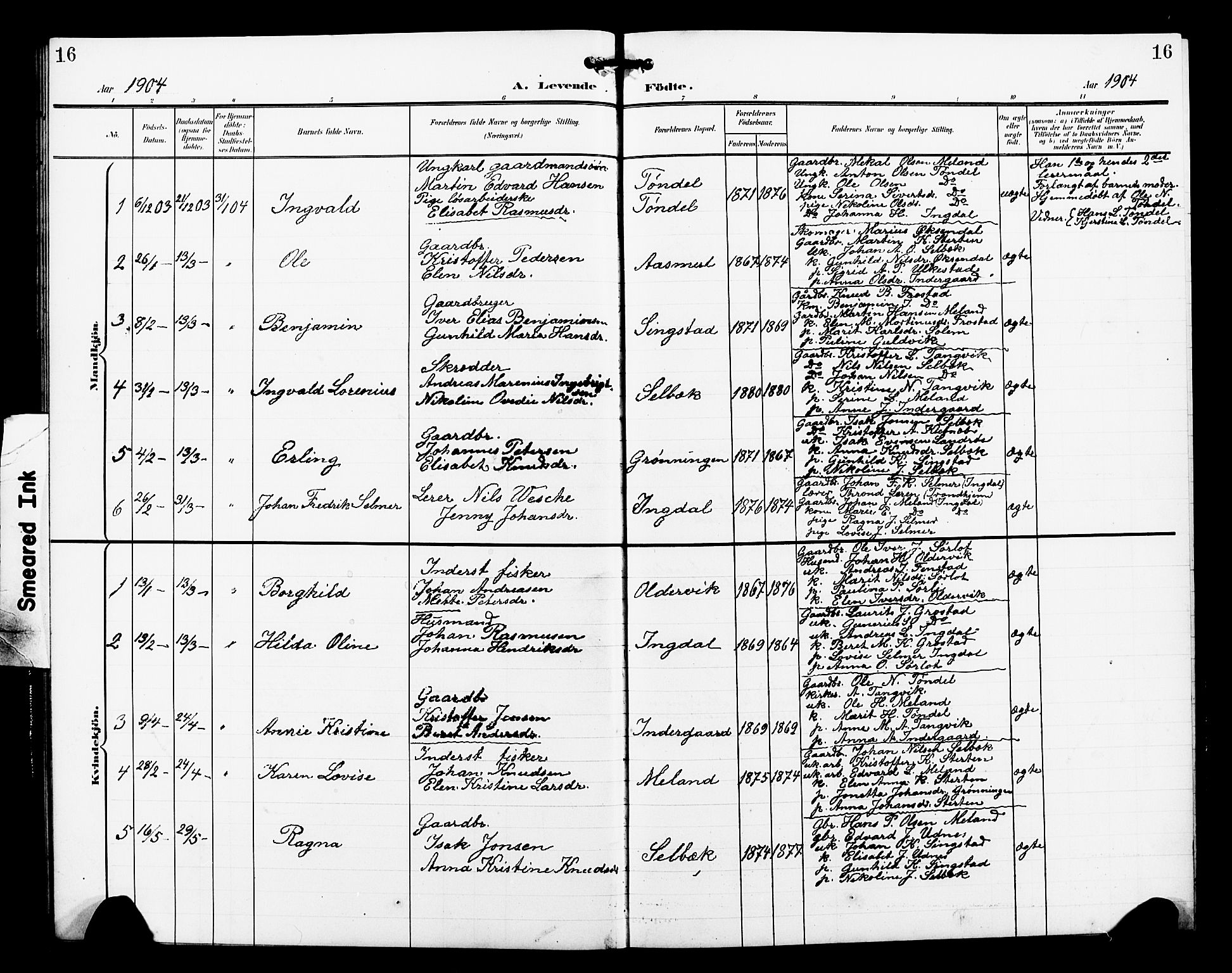 Ministerialprotokoller, klokkerbøker og fødselsregistre - Sør-Trøndelag, SAT/A-1456/663/L0763: Parish register (copy) no. 663C03, 1899-1908, p. 16