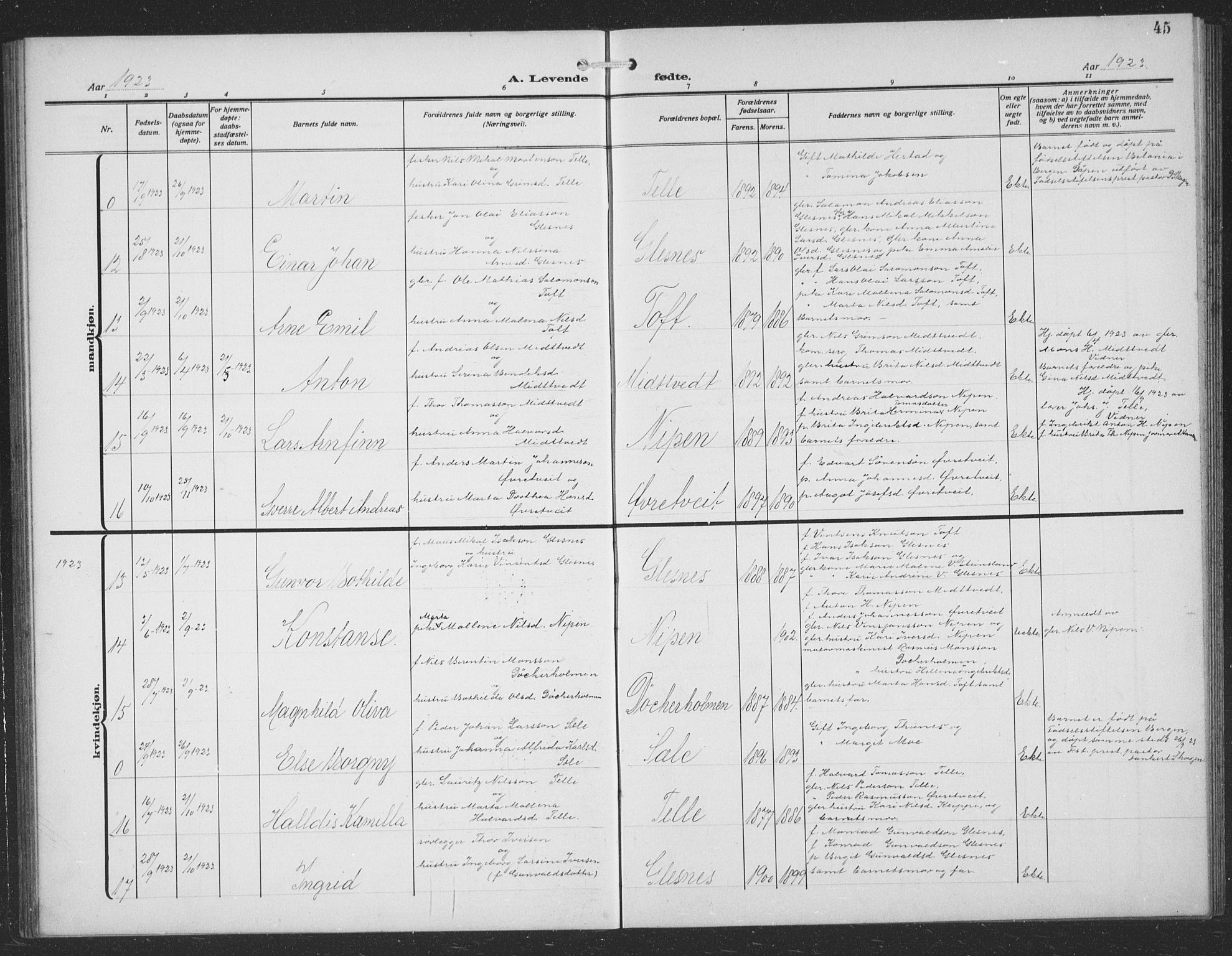 Sund sokneprestembete, SAB/A-99930: Parish register (copy) no. C 1, 1913-1928, p. 45