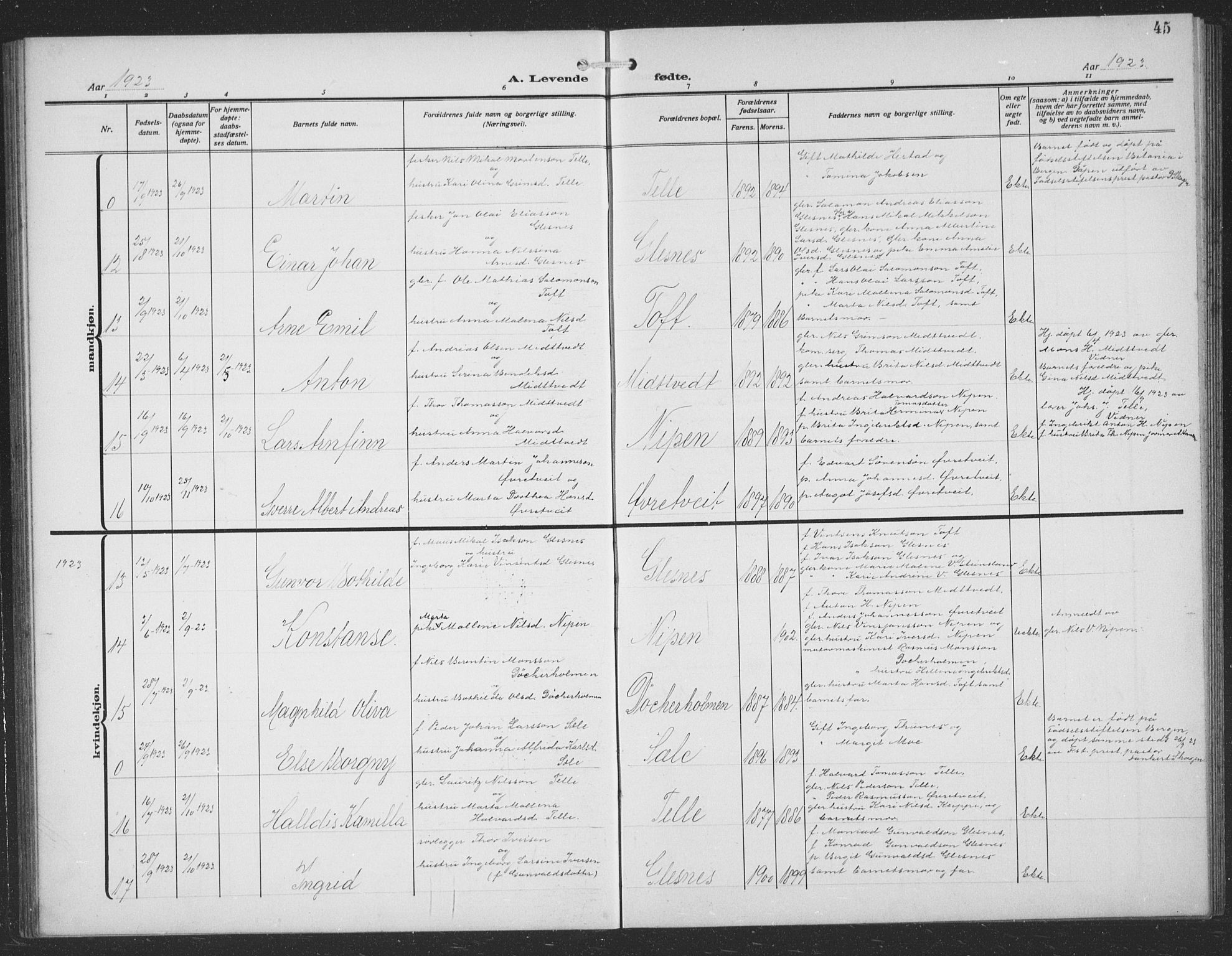 Sund sokneprestembete, AV/SAB-A-99930: Parish register (copy) no. C 1, 1913-1928, p. 45