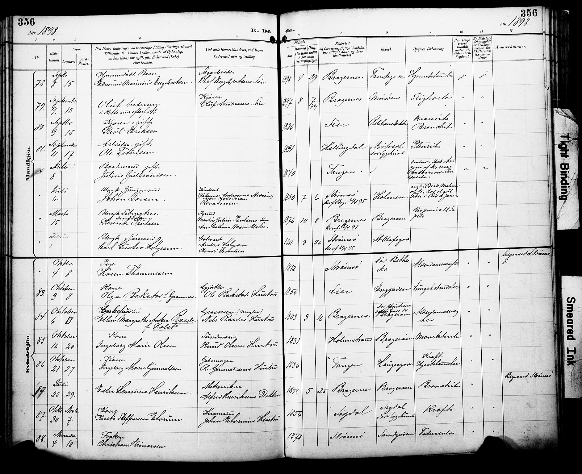 Bragernes kirkebøker, SAKO/A-6/F/Fb/L0008: Parish register (official) no. II 8, 1894-1902, p. 356