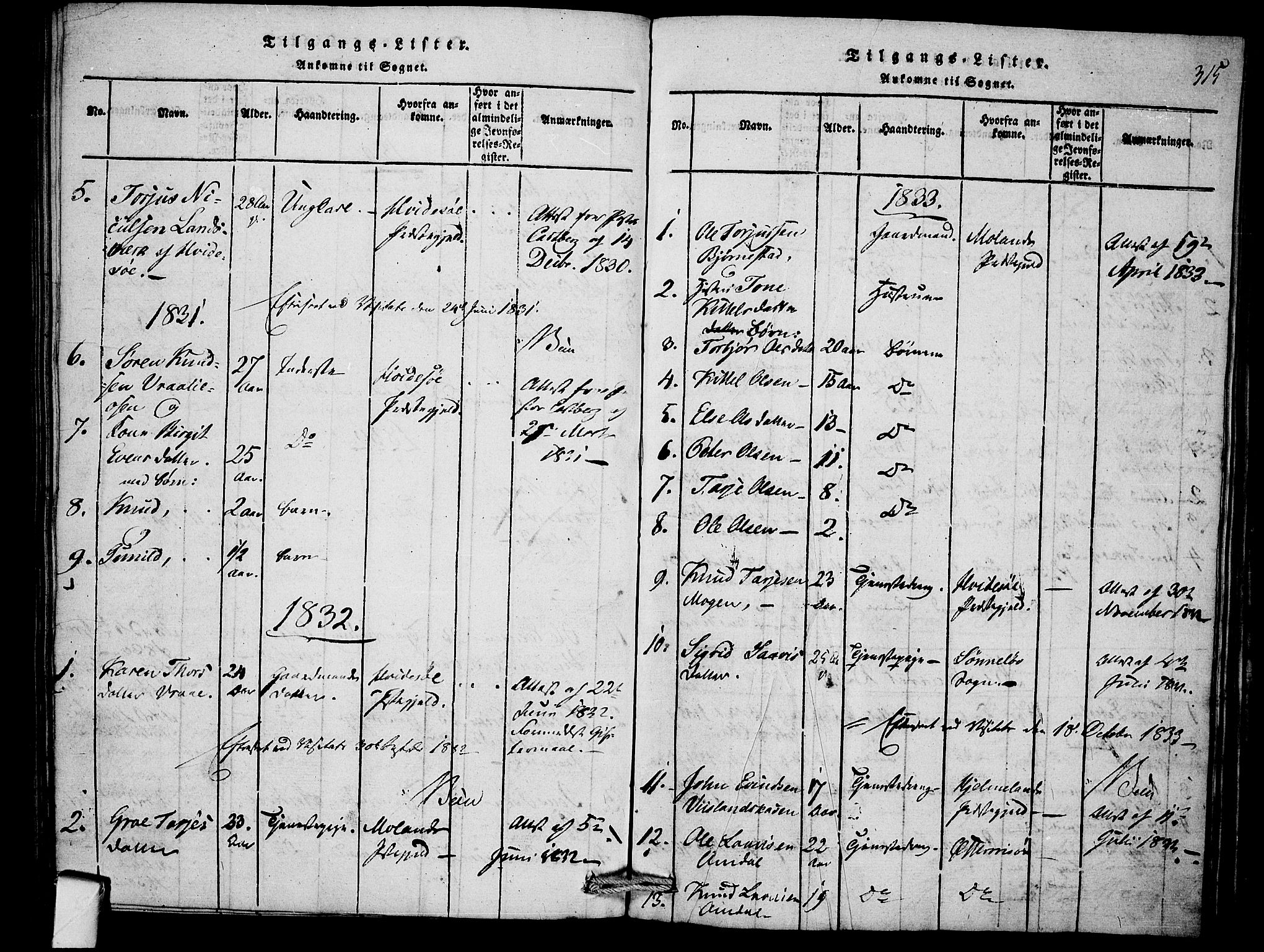 Mo kirkebøker, SAKO/A-286/F/Fb/L0001: Parish register (official) no. II 1, 1814-1844, p. 315