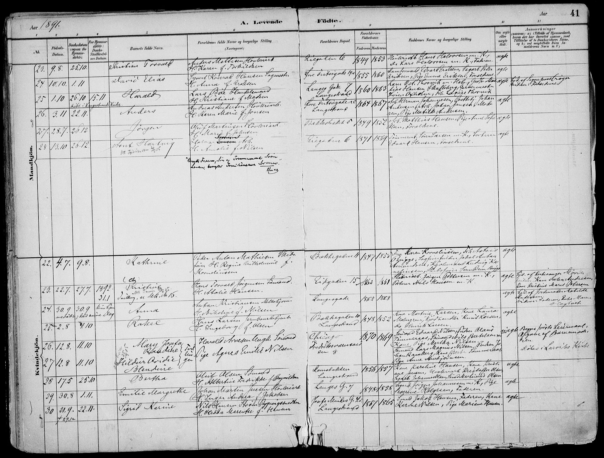 Larvik kirkebøker, AV/SAKO-A-352/F/Fb/L0004: Parish register (official) no. II 4, 1884-1902, p. 41