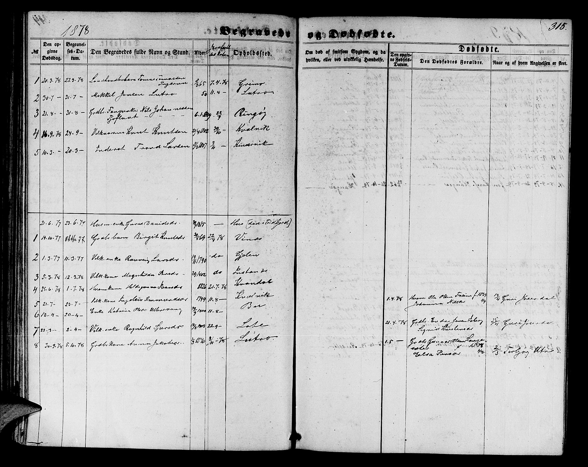 Ullensvang sokneprestembete, SAB/A-78701/H/Hab: Parish register (copy) no. E 6, 1857-1886, p. 315