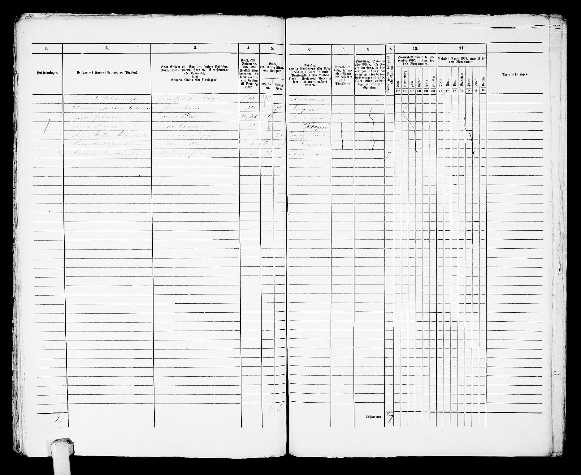 RA, 1865 census for Kragerø/Kragerø, 1865, p. 1017