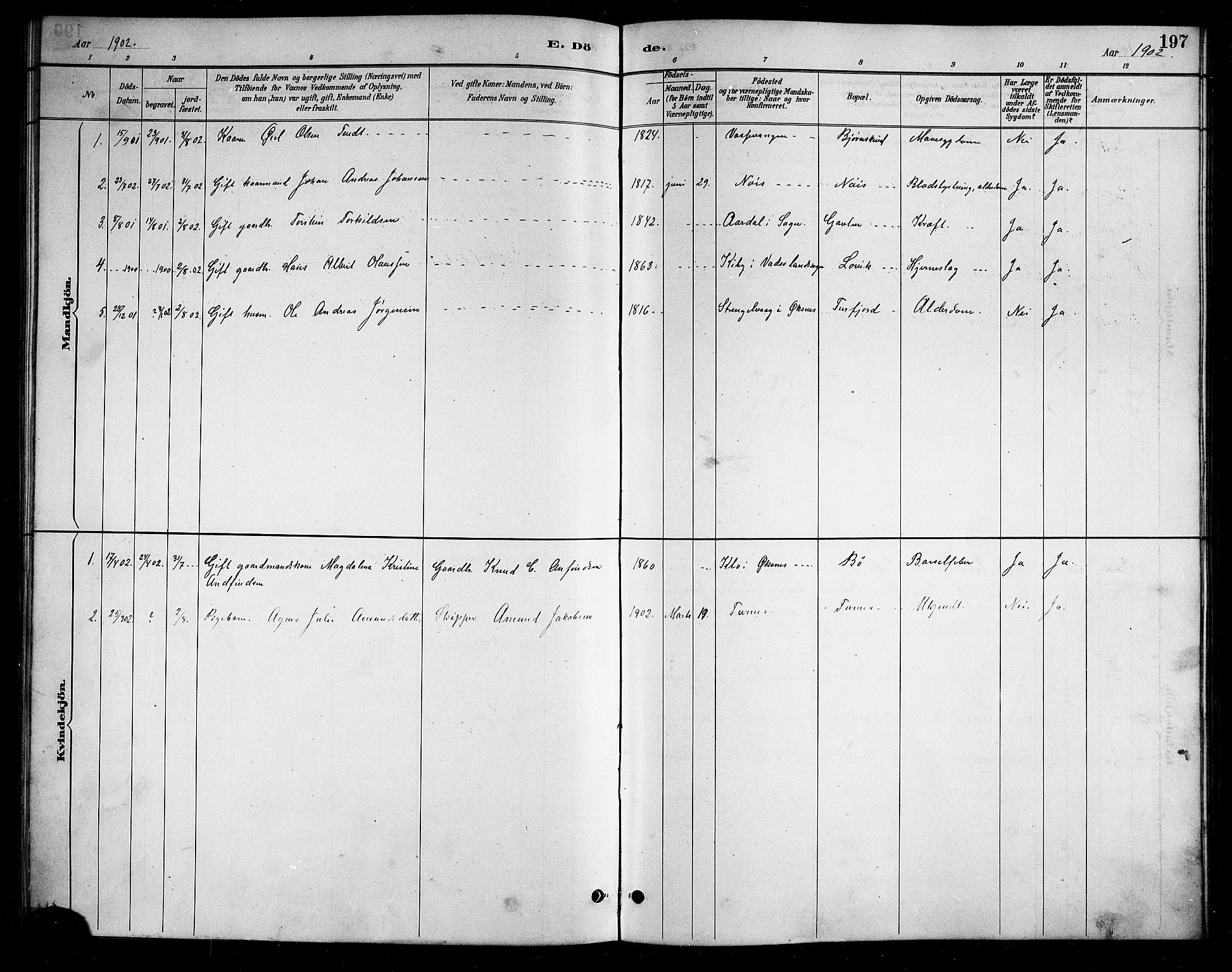 Ministerialprotokoller, klokkerbøker og fødselsregistre - Nordland, SAT/A-1459/898/L1427: Parish register (copy) no. 898C02, 1887-1917, p. 197