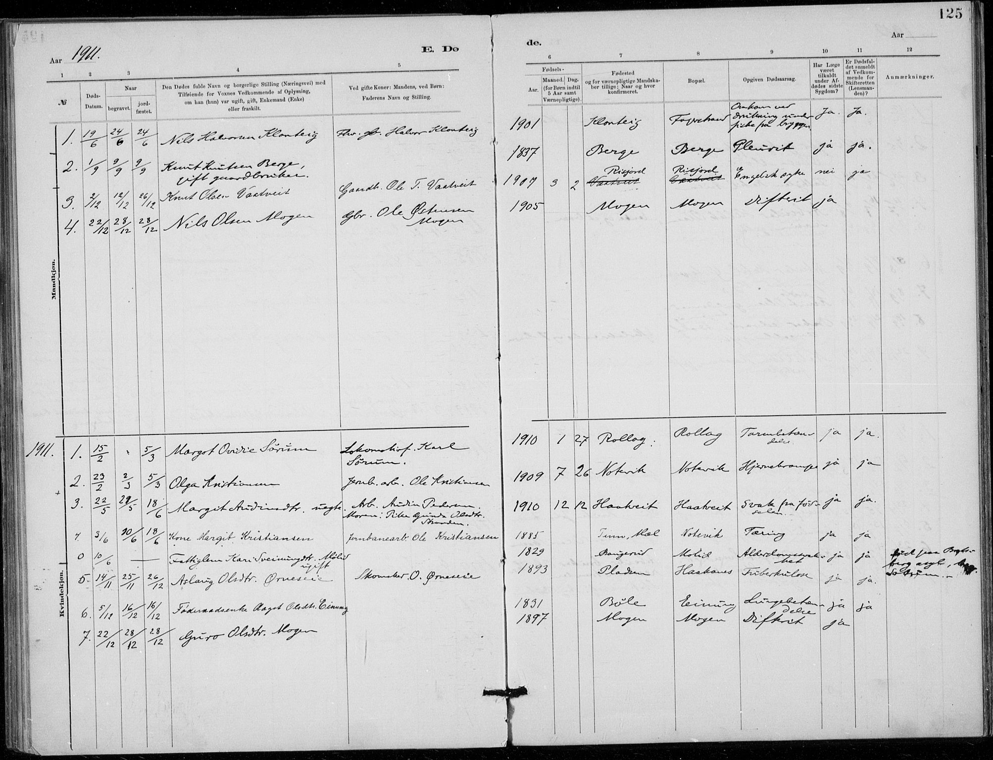 Tinn kirkebøker, SAKO/A-308/F/Fb/L0002: Parish register (official) no. II 2, 1878-1917, p. 125