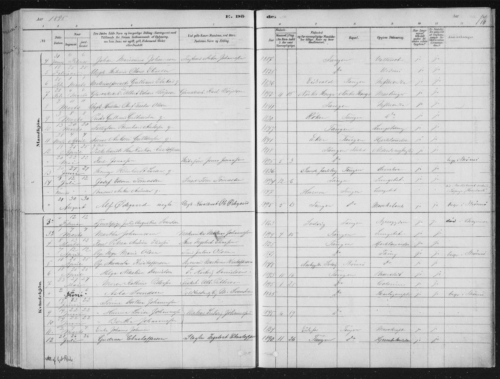 Strømsø kirkebøker, AV/SAKO-A-246/F/Fb/L0005: Parish register (official) no. II 5, 1877-1902, p. 176