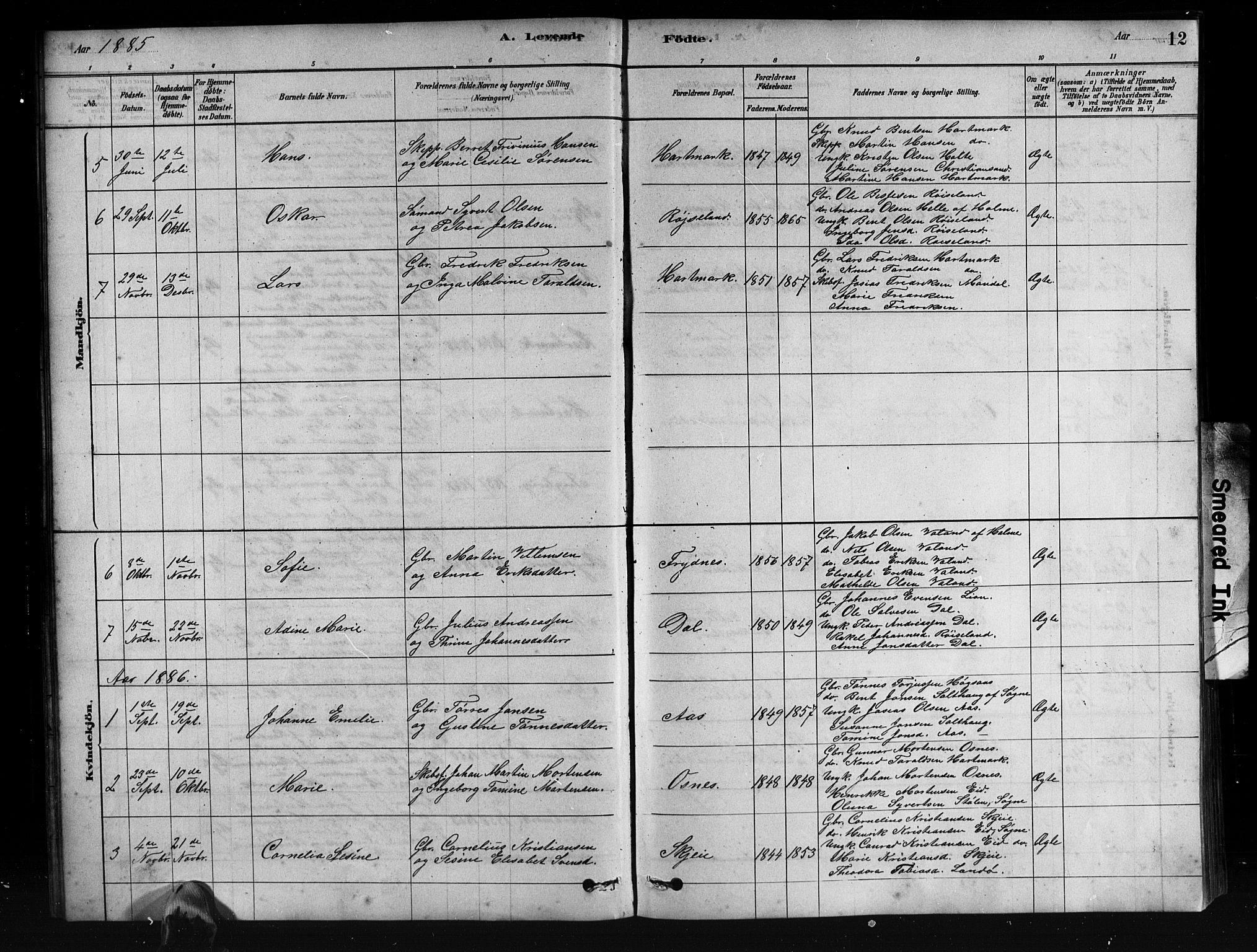 Mandal sokneprestkontor, SAK/1111-0030/F/Fb/Fbb/L0004: Parish register (copy) no. B 4, 1878-1913, p. 12
