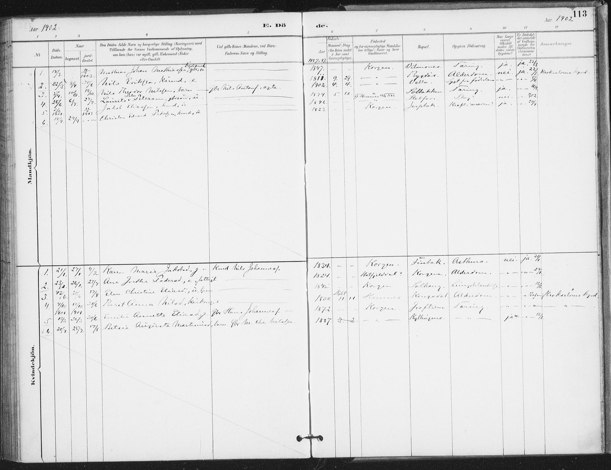 Ministerialprotokoller, klokkerbøker og fødselsregistre - Nordland, SAT/A-1459/826/L0380: Parish register (official) no. 826A03, 1891-1911, p. 113