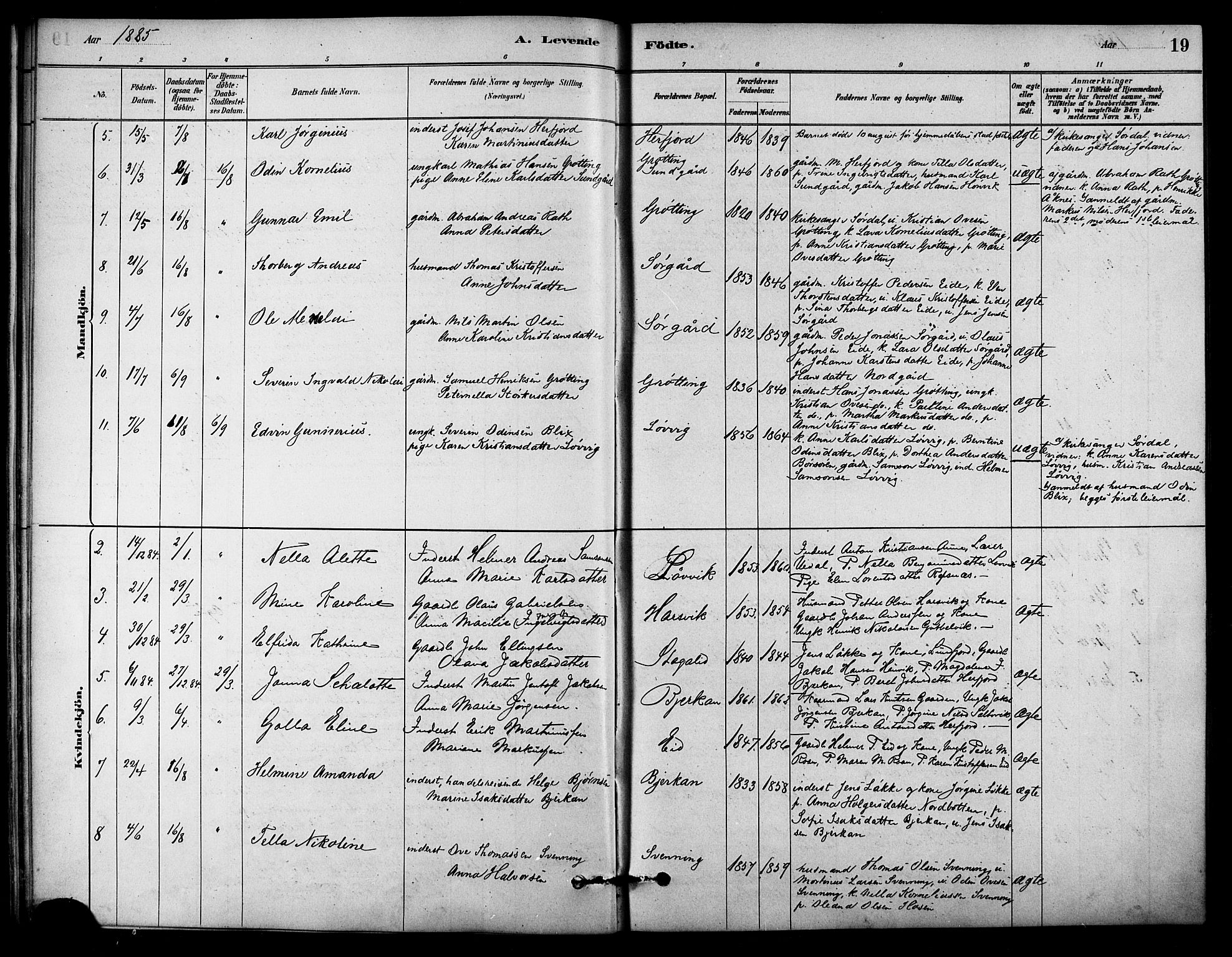 Ministerialprotokoller, klokkerbøker og fødselsregistre - Sør-Trøndelag, SAT/A-1456/656/L0692: Parish register (official) no. 656A01, 1879-1893, p. 19