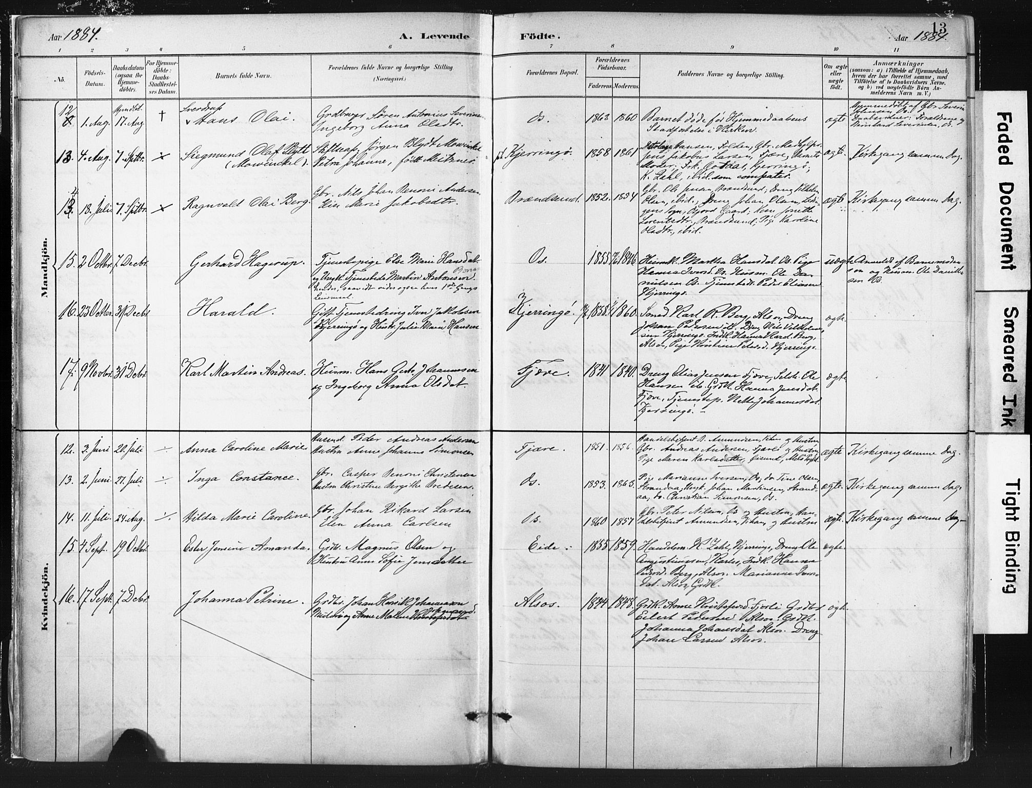 Ministerialprotokoller, klokkerbøker og fødselsregistre - Nordland, AV/SAT-A-1459/803/L0071: Parish register (official) no. 803A01, 1881-1897, p. 13