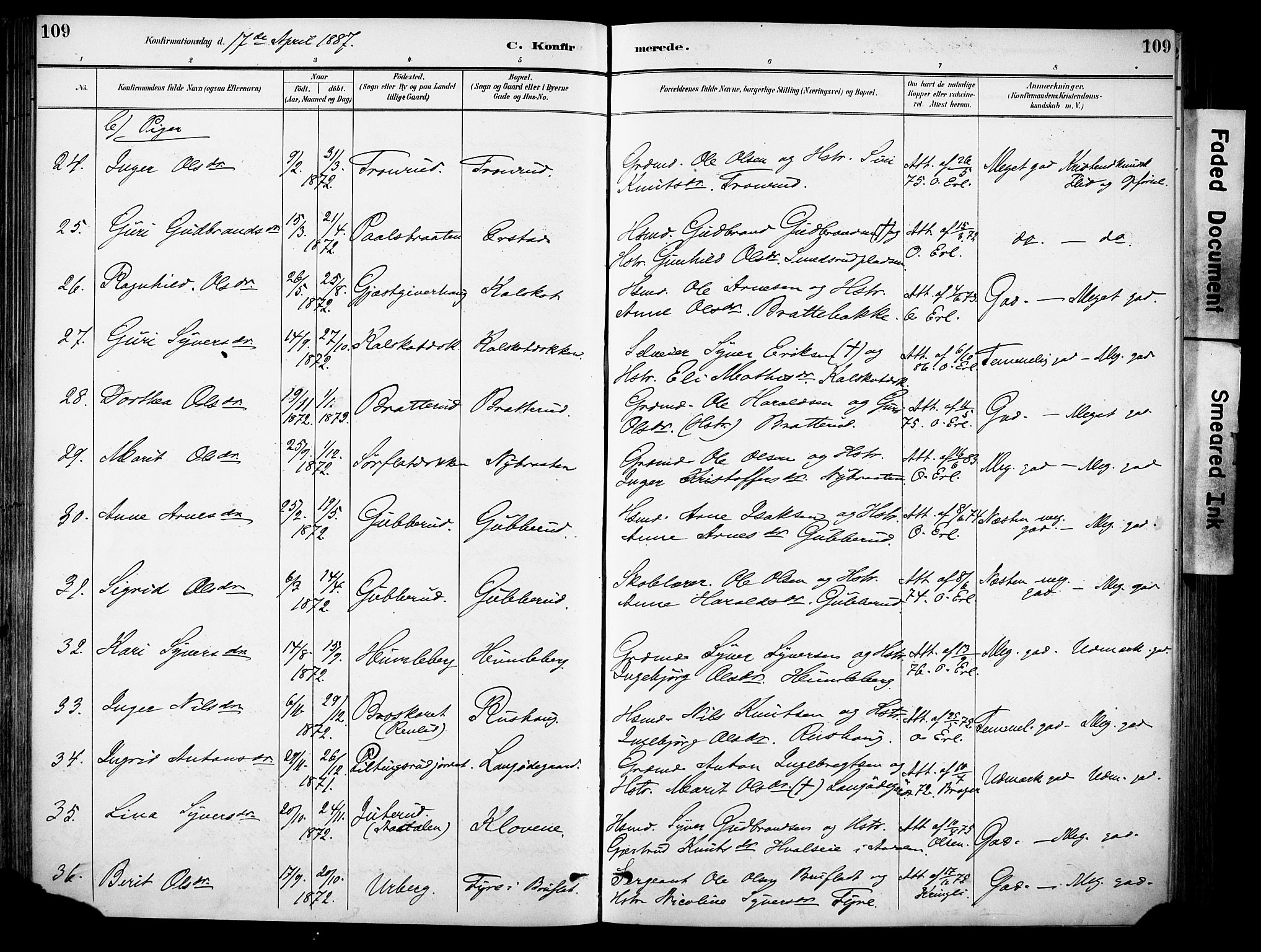 Sør-Aurdal prestekontor, SAH/PREST-128/H/Ha/Haa/L0009: Parish register (official) no. 9, 1886-1906, p. 109