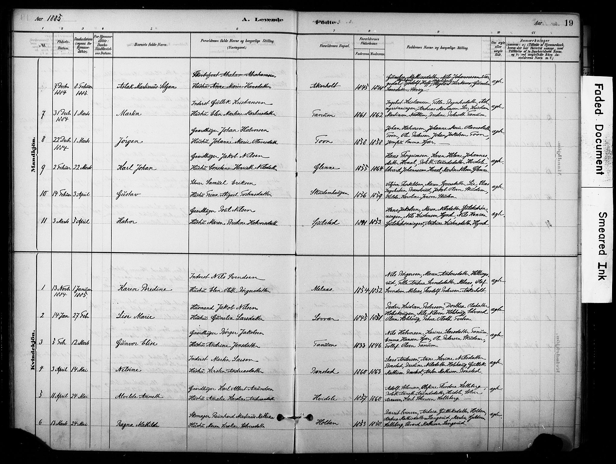 Lardal kirkebøker, AV/SAKO-A-350/F/Fb/L0001: Parish register (official) no. II 1, 1881-1911, p. 19