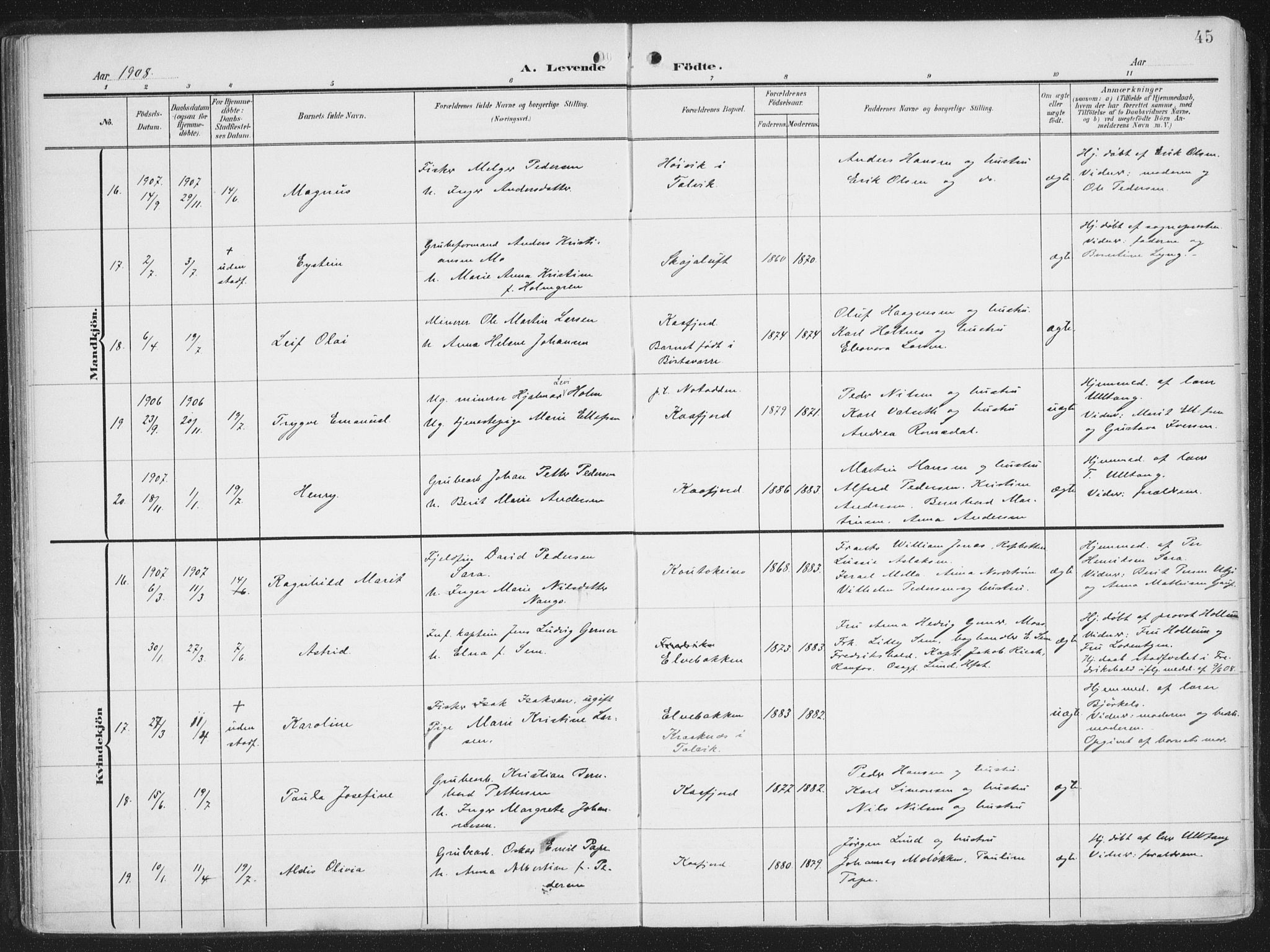 Alta sokneprestkontor, SATØ/S-1338/H/Ha/L0005.kirke: Parish register (official) no. 5, 1904-1918, p. 45