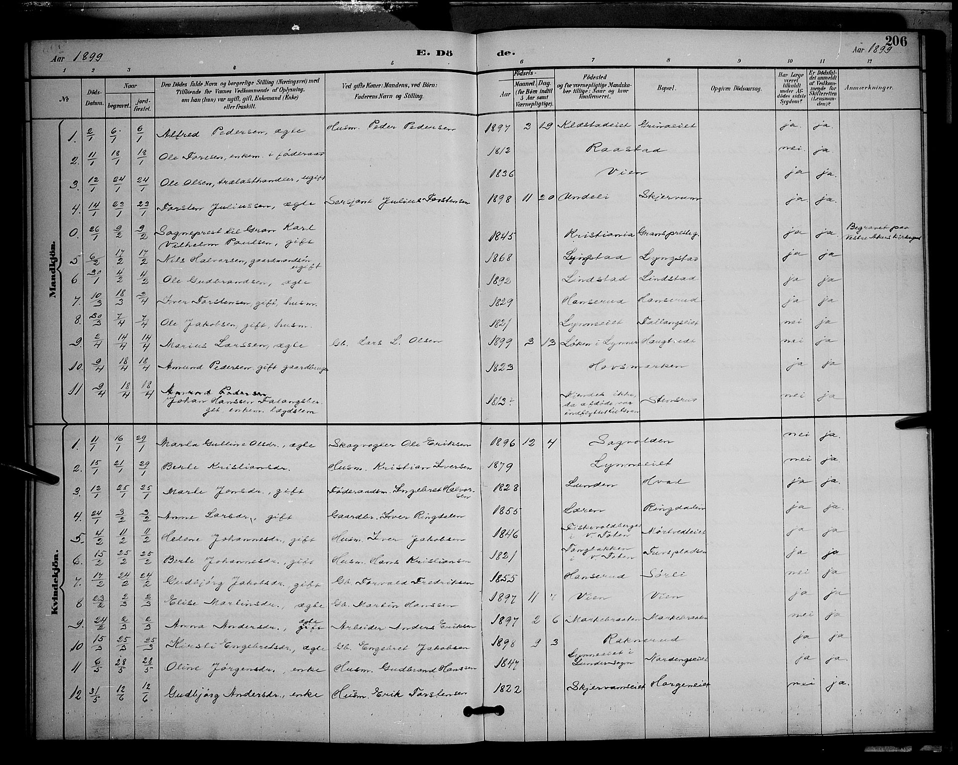 Gran prestekontor, SAH/PREST-112/H/Ha/Hab/L0005: Parish register (copy) no. 5, 1892-1900, p. 206